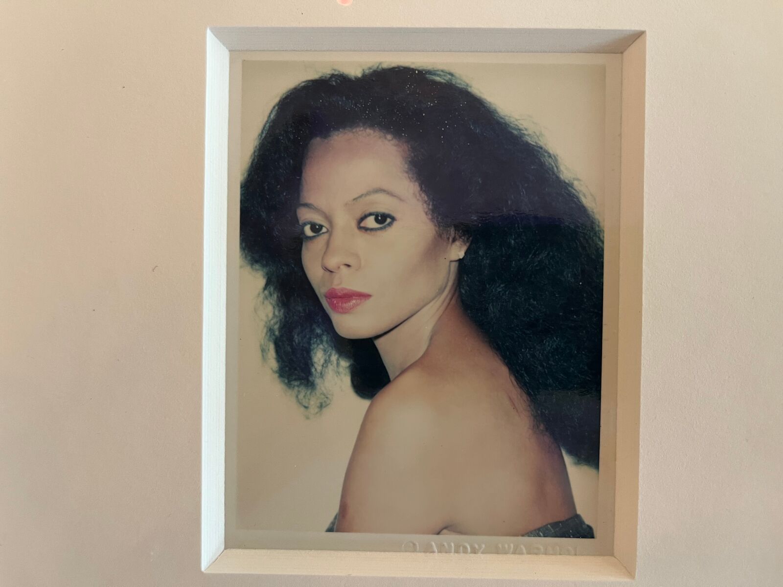 Diana Ross by Andy Warhol, 1981