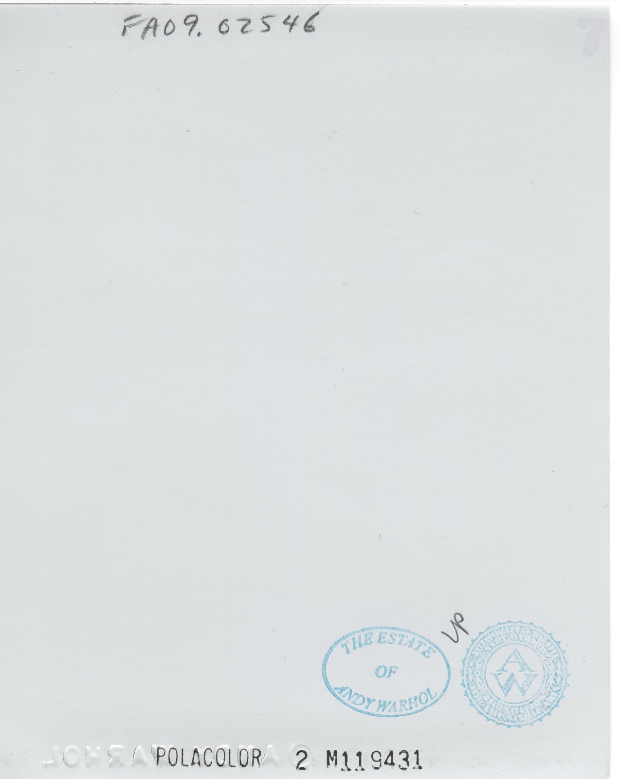 Artwork by Andy Warhol, Eggs, Made of Unique Polaroid print 