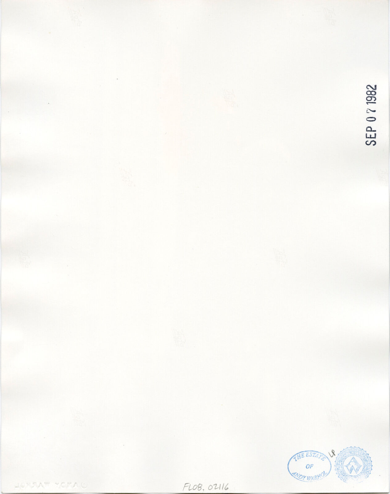 A black and white photo of a woman holding an American flag.