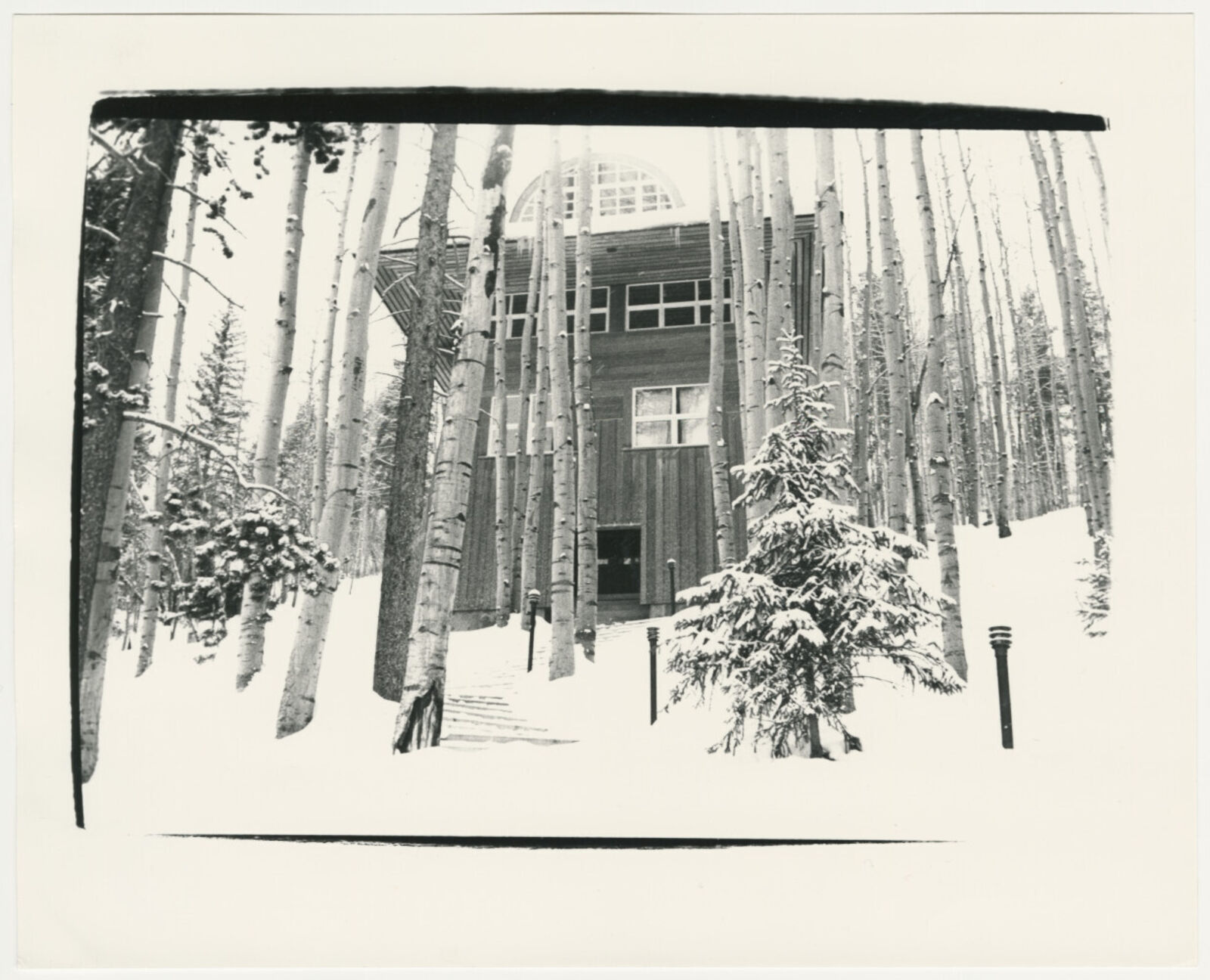 A black and white photo of a house in the woods.