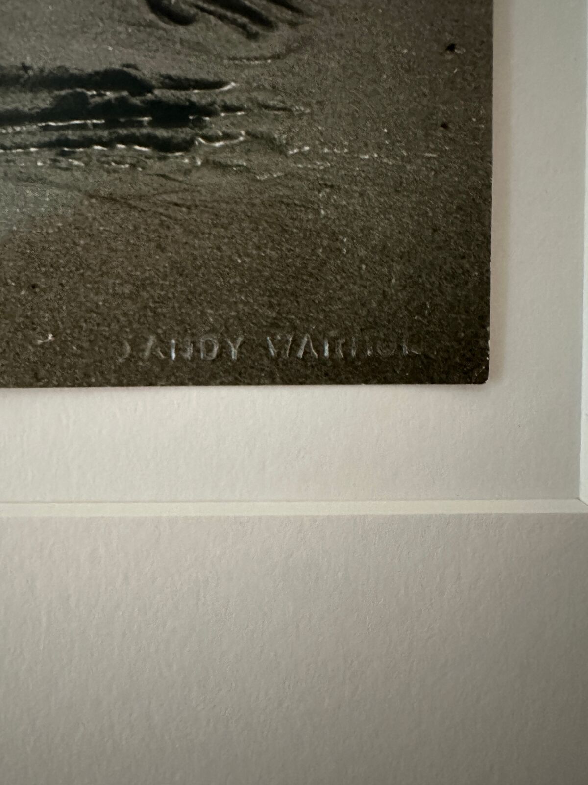 A man in a bathing suit is playing in the water.