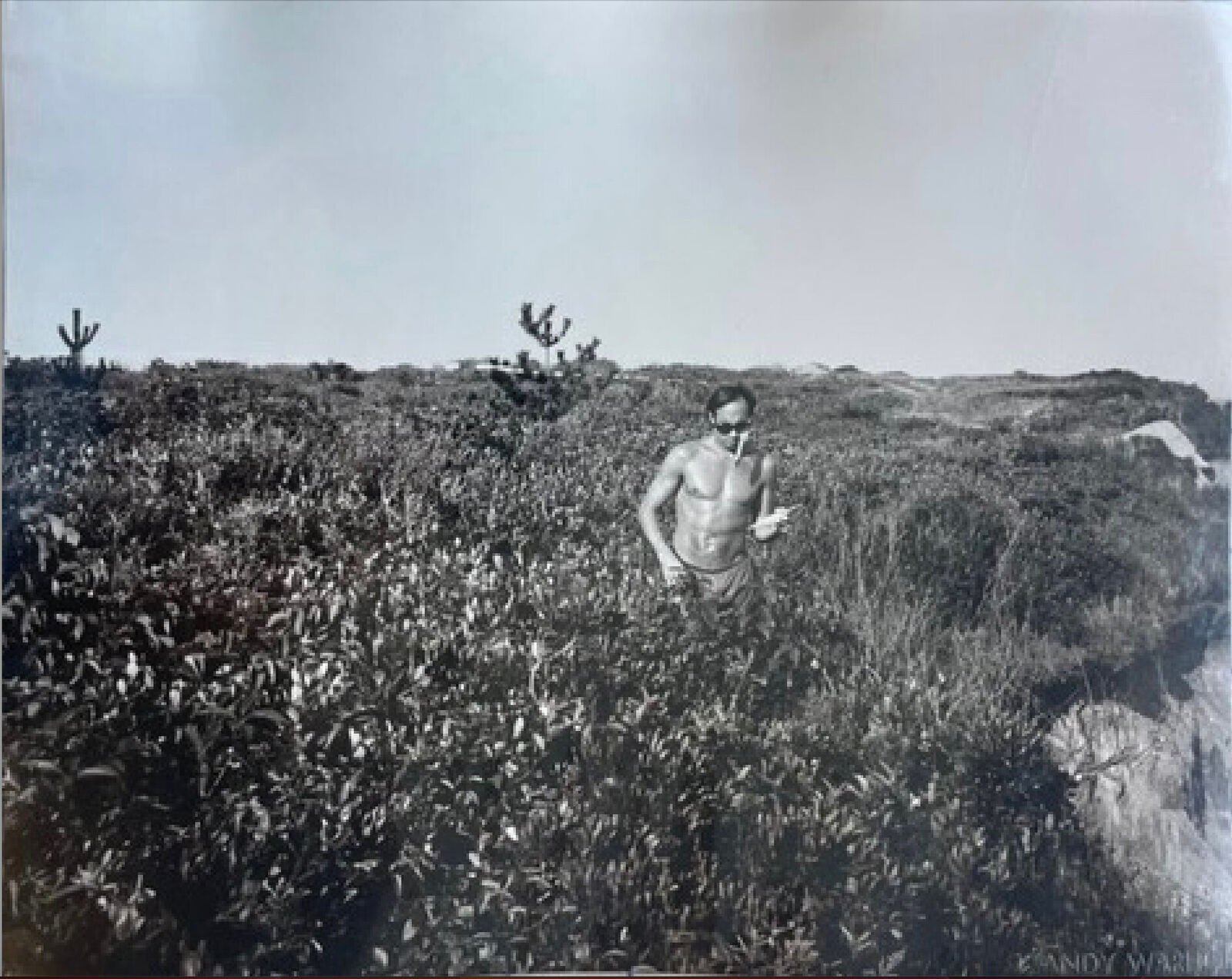 Artwork by Andy Warhol, Jon Gould walking along cliff and on the beach in Montauk, Made of Unique silver gelatin print 
