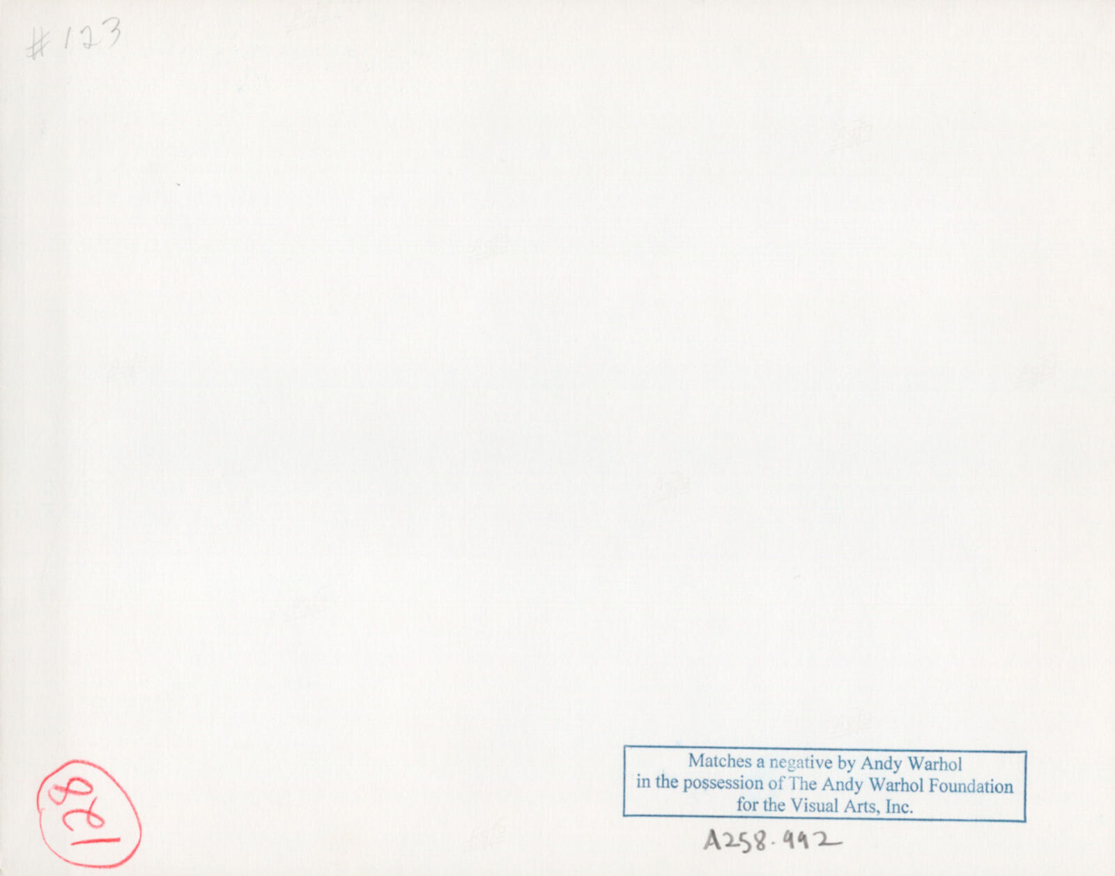 A group of women standing next to each other in a crowd.