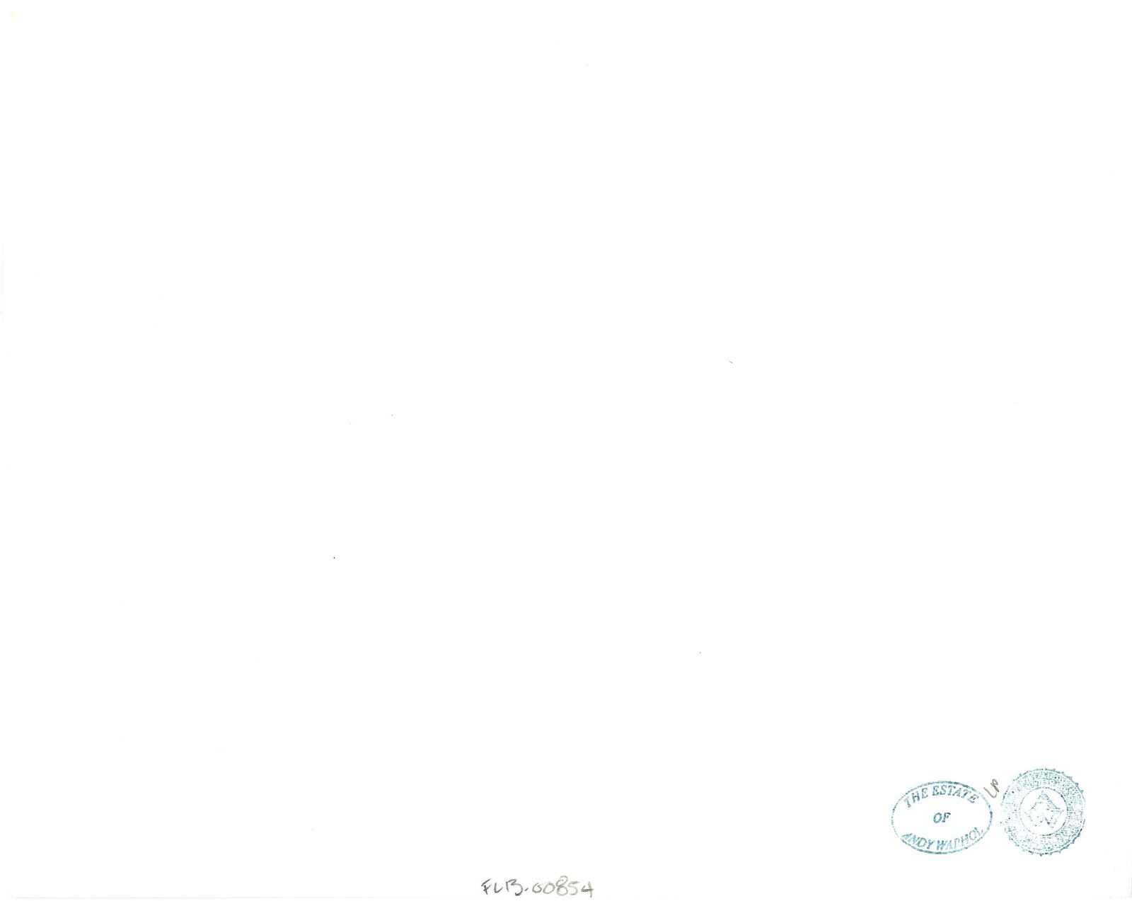 Artwork by Andy Warhol, Paris, Made of Unique silver gelatin print 