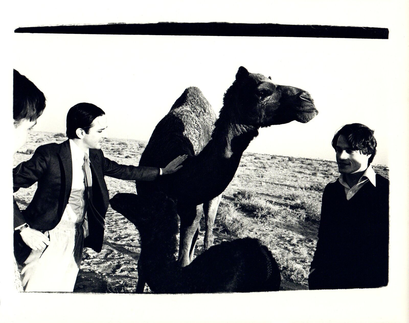 Photograph of Fred Hughes and Jed Johnson with Camel in Kuwait