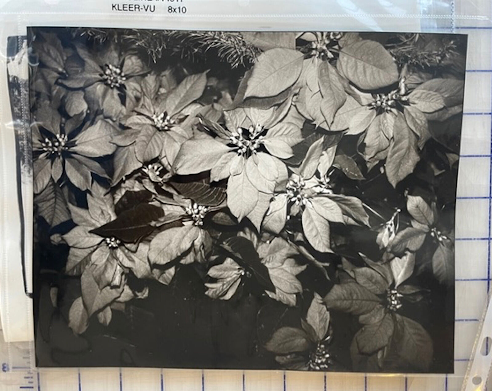 A black and white photo of a bunch of flowers.