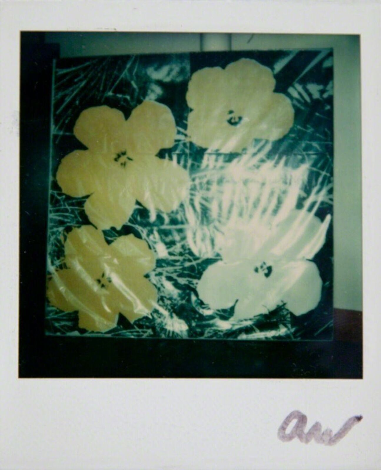 A picture of three yellow flowers on a black and white background.