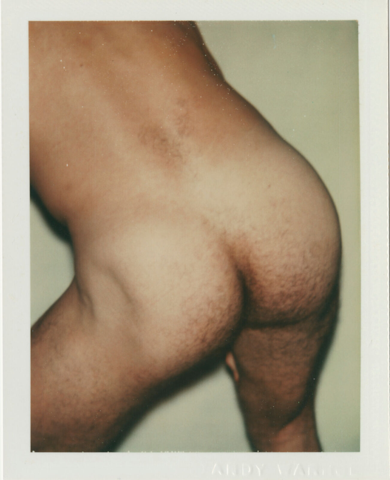 Sex Parts and Torsos by Andy Warhol, circa 1977