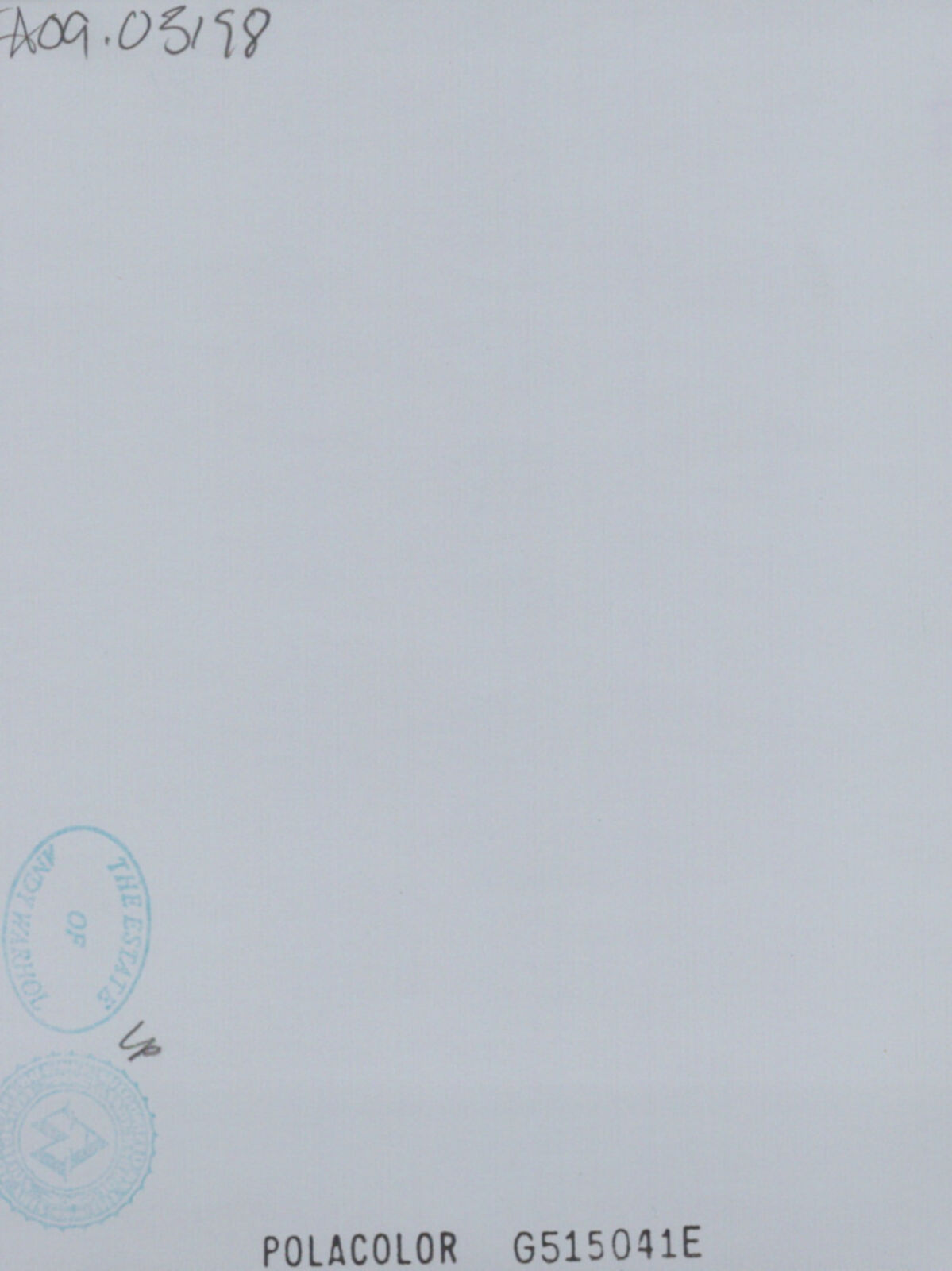 Artwork by Andy Warhol, Textile, Made of Unique Polaroid print 