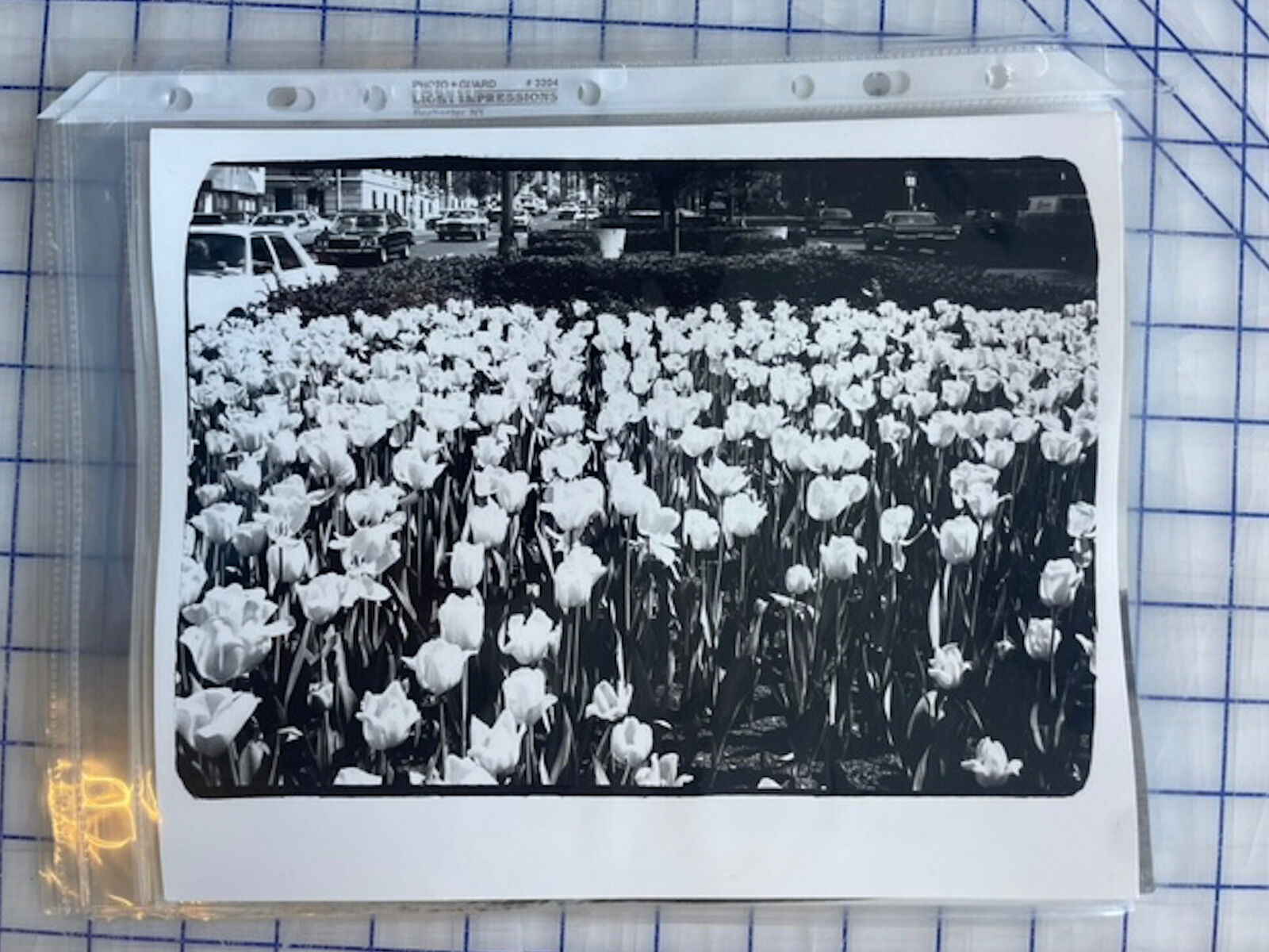 Artwork by Andy Warhol, Tulips on Park Ave, Made of Unique silver gelatin print 