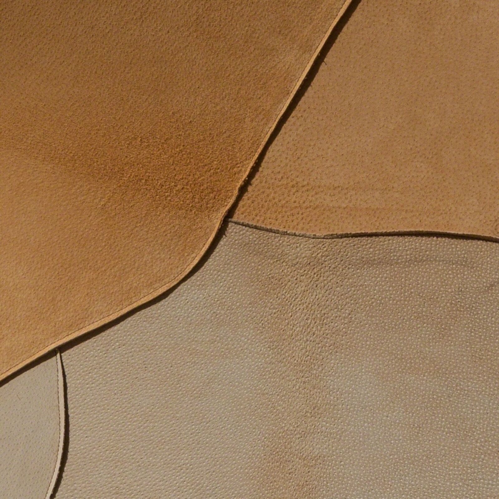 Artwork by Angelo Canevari, Mirabile ( Enchanting ) - Leather and stone sculpture by Italian sculptor Angelo Canevari, Made of Leather and stone on panel 