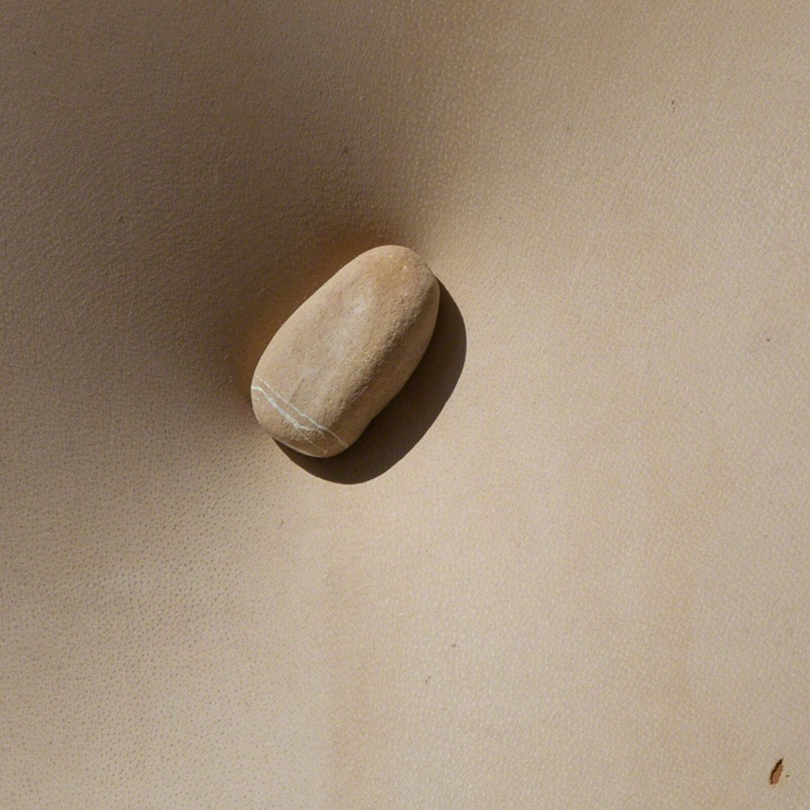 Artwork by Angelo Canevari, Mirabile ( Enchanting ) - Leather and stone sculpture by Italian sculptor Angelo Canevari, Made of Leather and stone on panel 