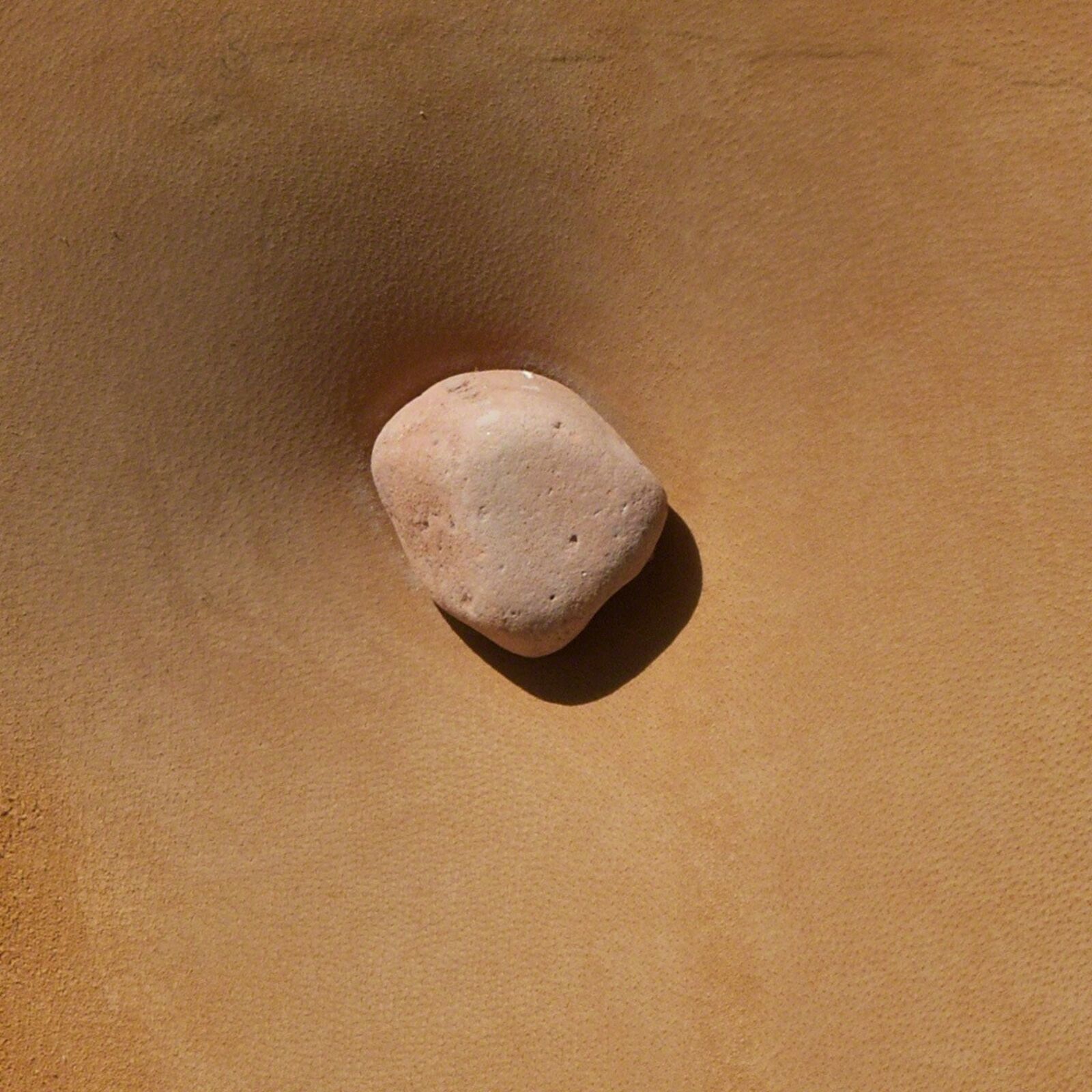 Artwork by Angelo Canevari, Mirabile (Enchanting) - Leather and stone sculpture by Italian sculptor Angelo Canevari, Made of Leather and Stone 