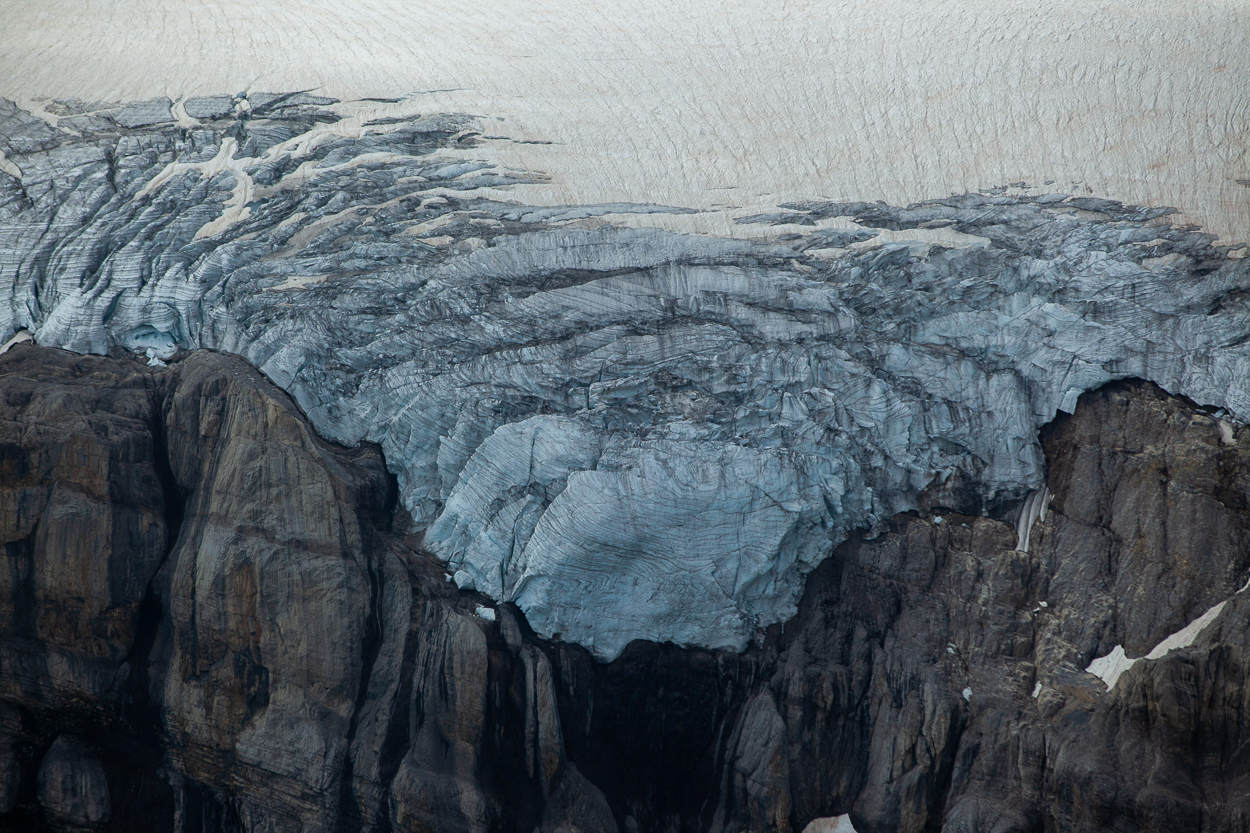 The Force by Ania Freindorf, 2018