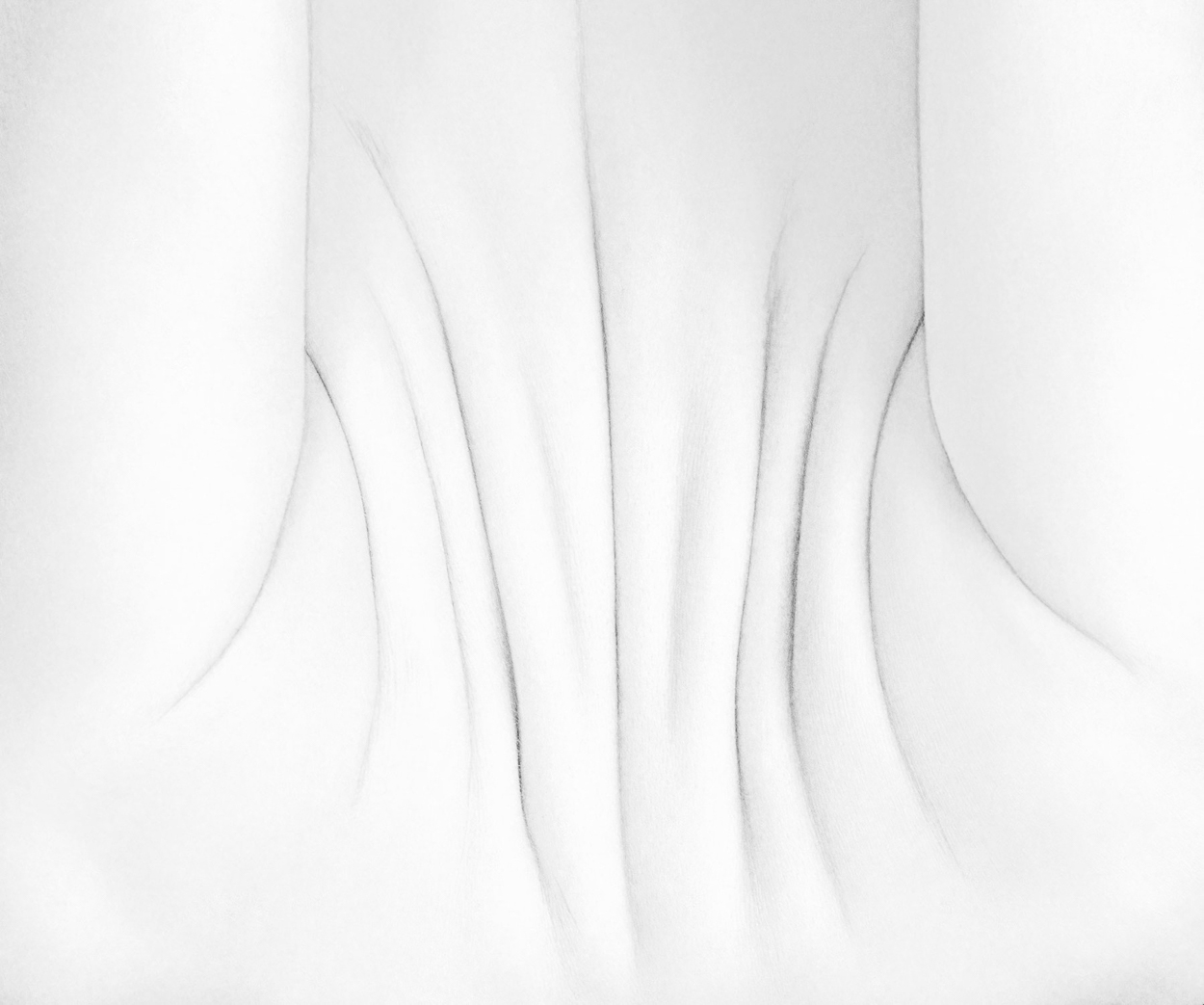 A black and white drawing of a woman's torso.
