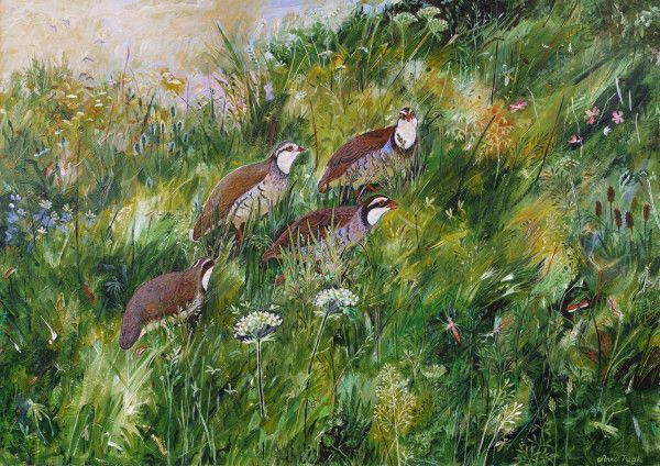 Long Grass