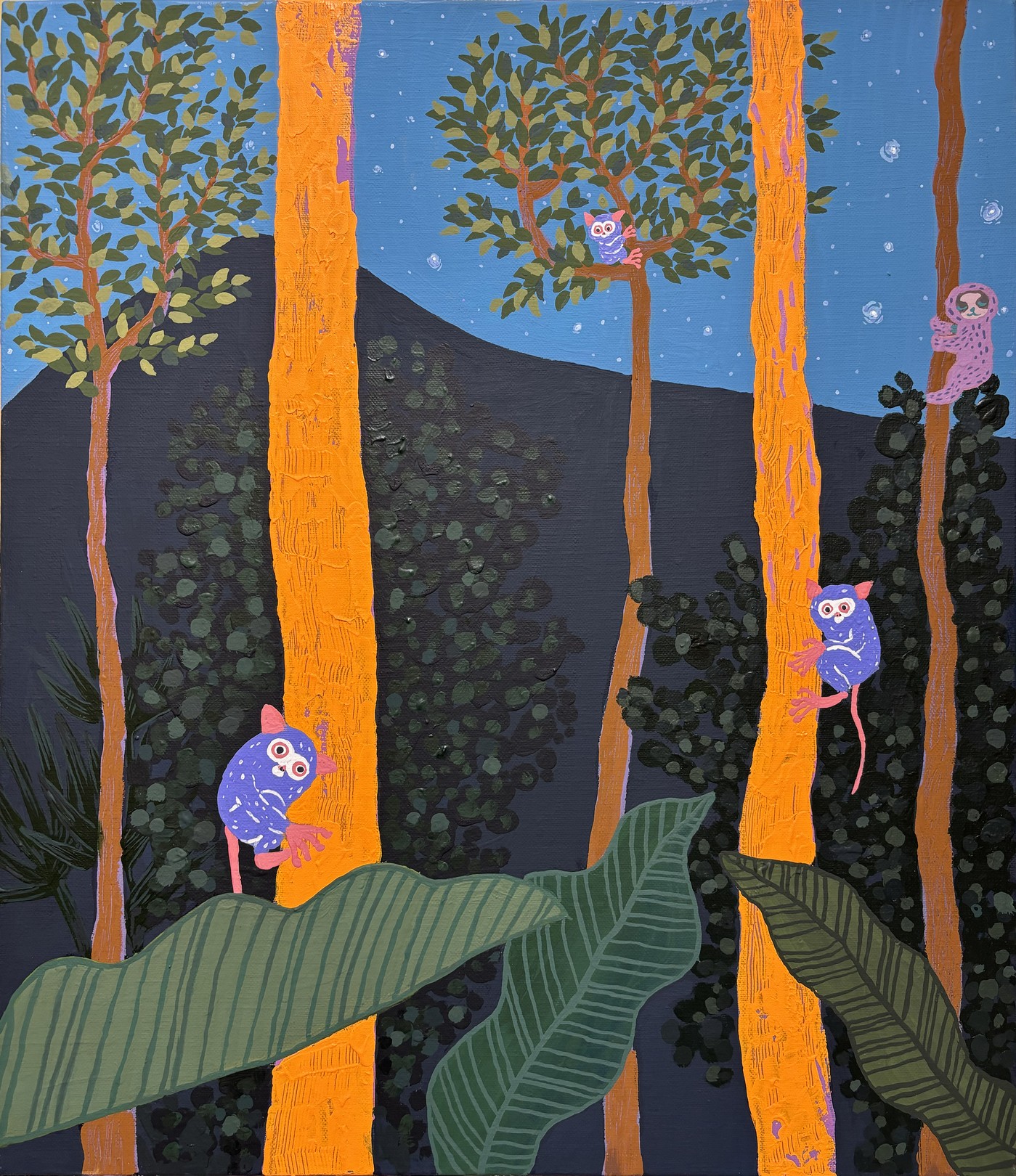 The Jungle of the Glasses Monkey