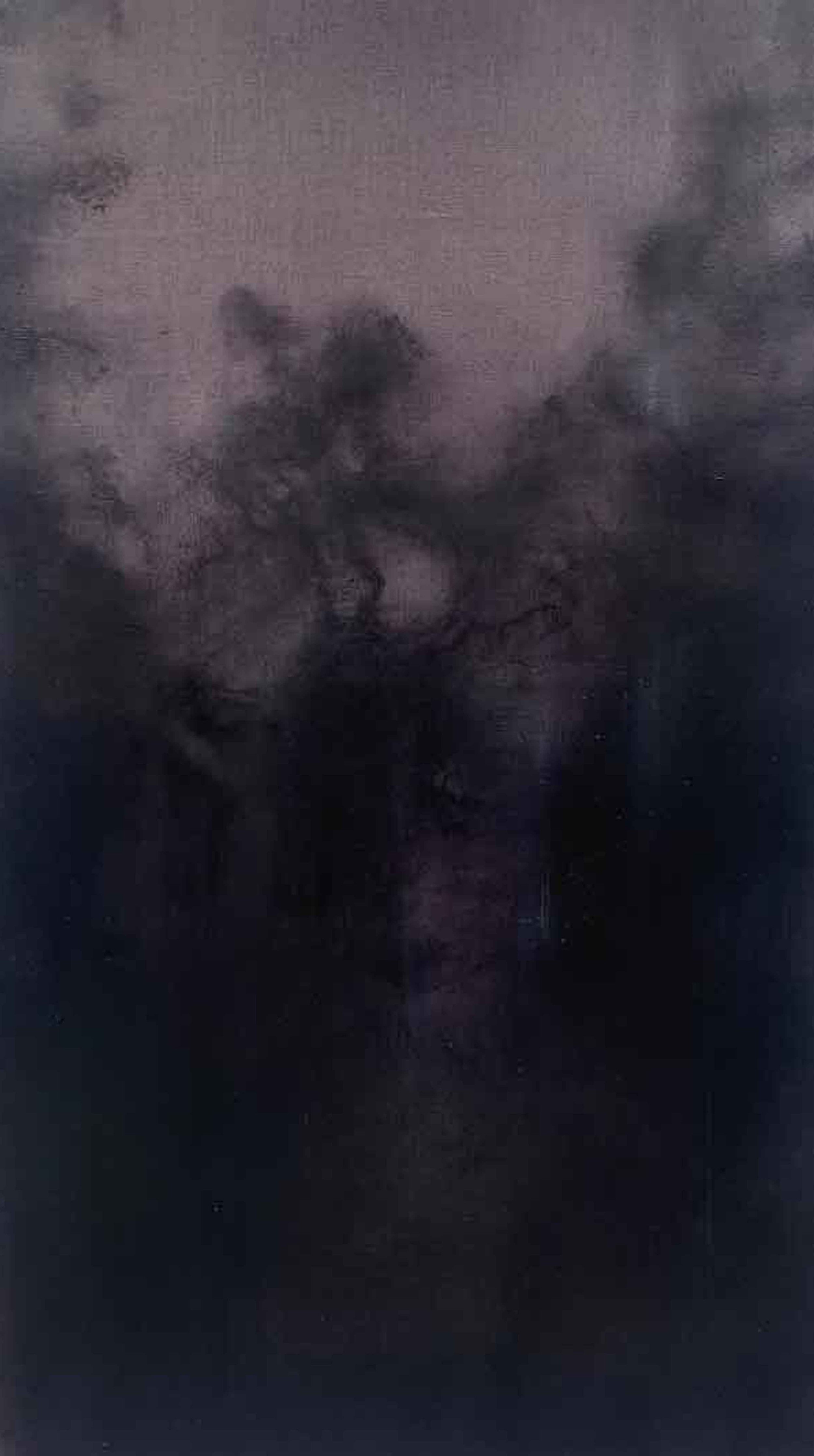 The Stillness of Shadows II by Annamarie Dzendrowskyj, null