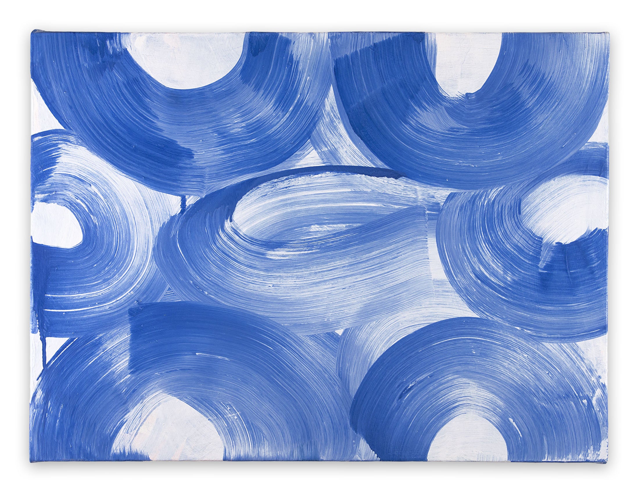 Persian 1 by Anne Russinof, 2018