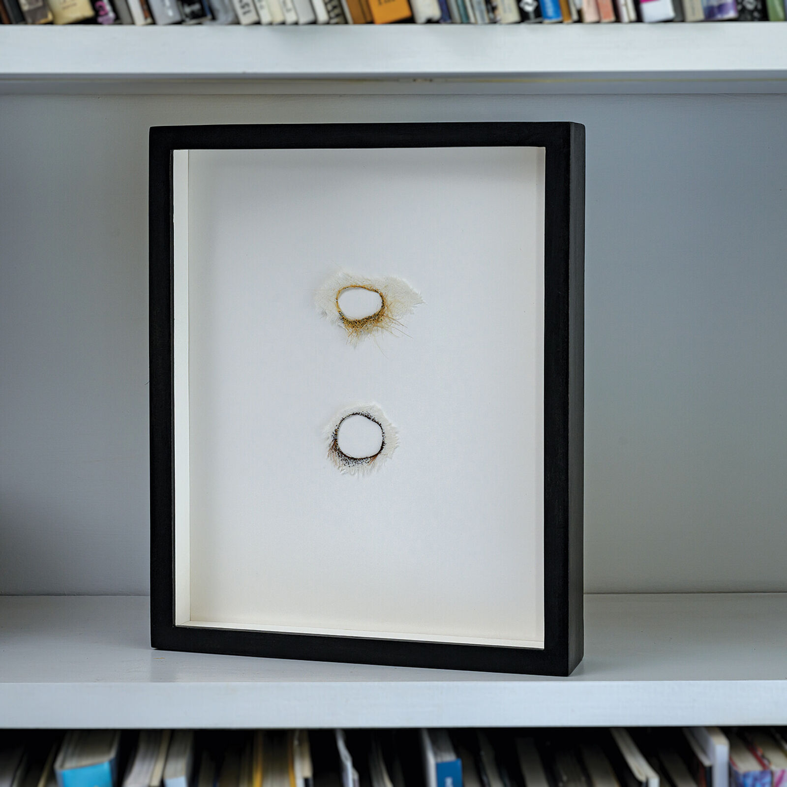 A picture of two circles in a black frame on a shelf.