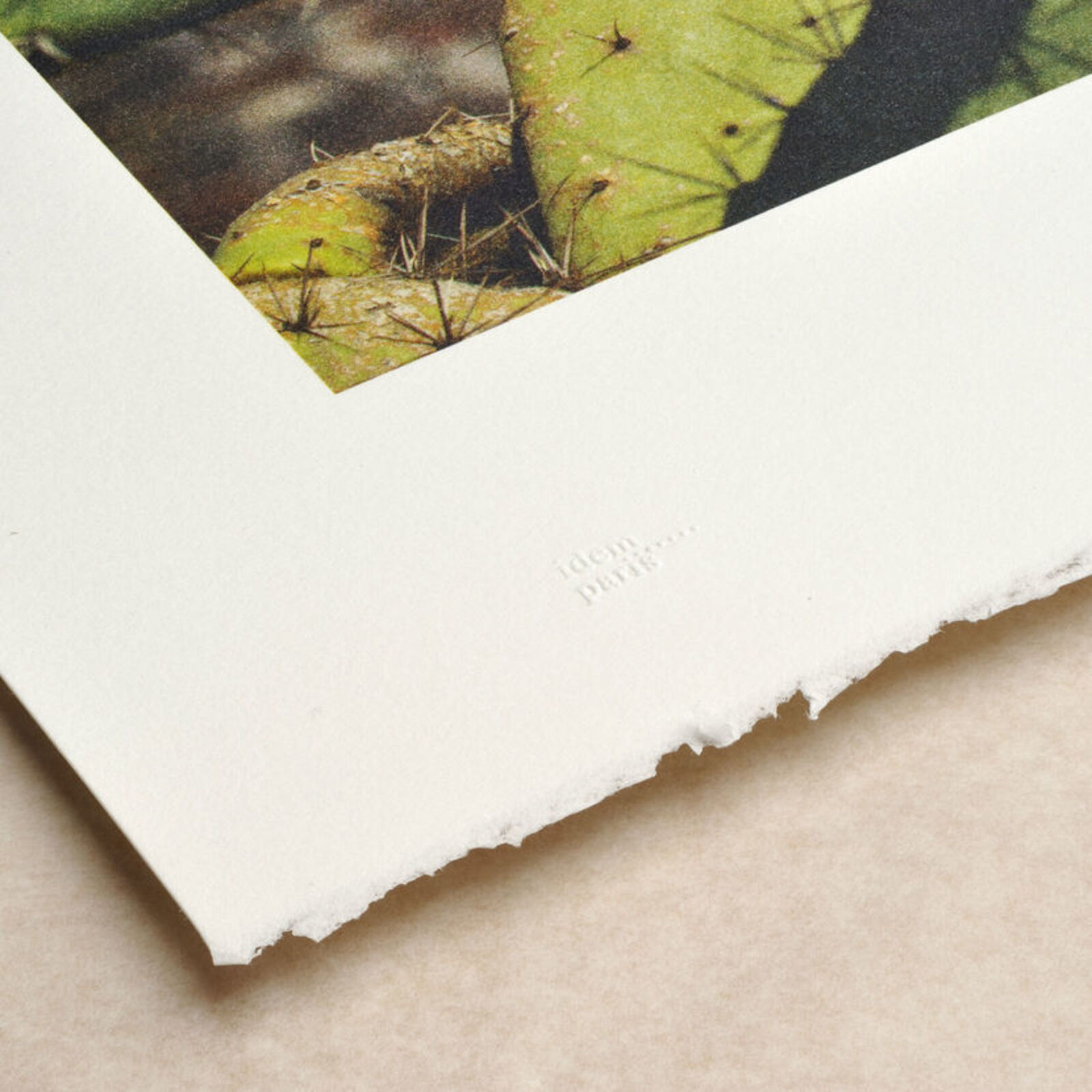 Artwork by Anri Sala, Cactus Score, Made of Litograph 
