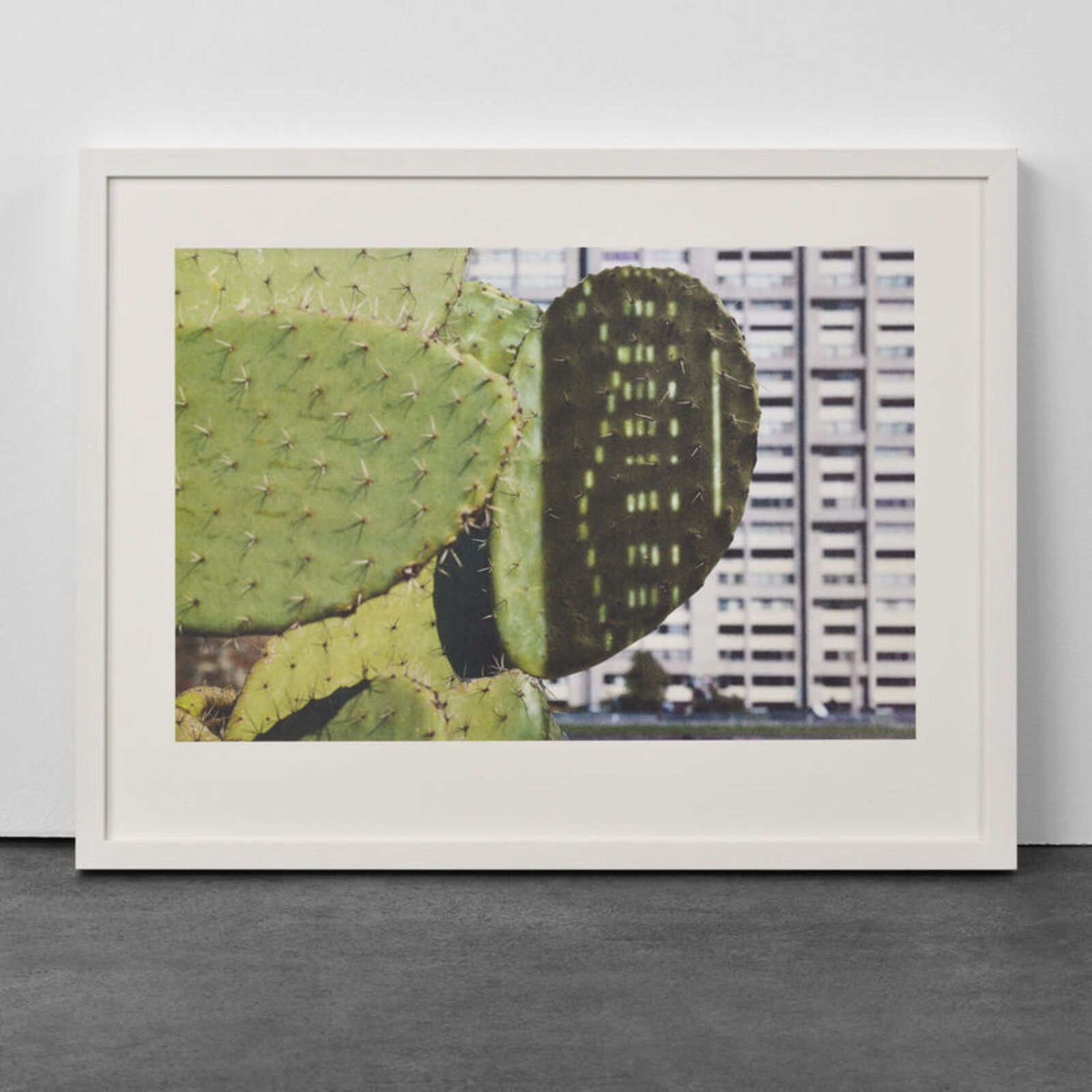 Artwork by Anri Sala, Cactus Score, Made of Litograph 