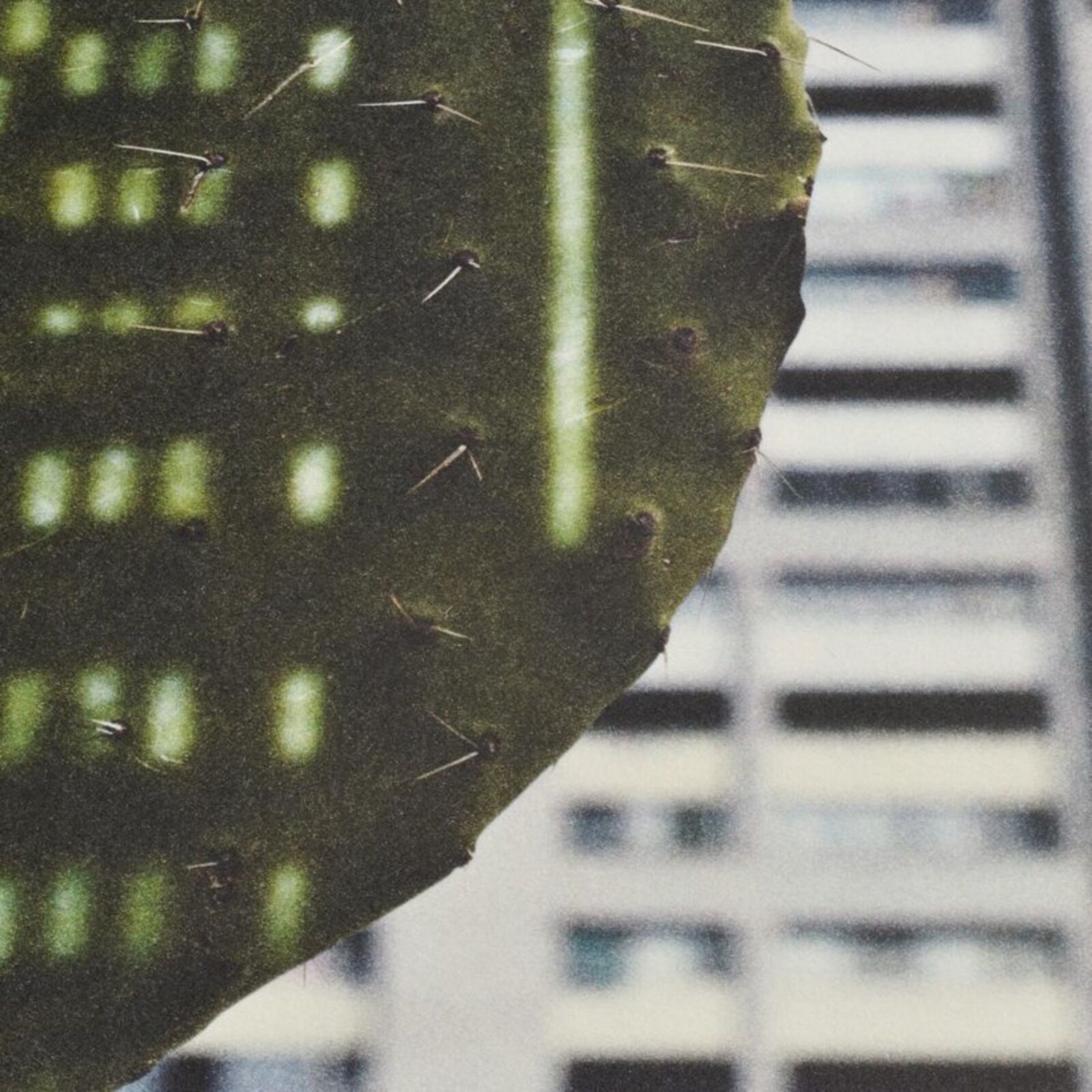 Artwork by Anri Sala, Cactus Score, Made of Litograph 