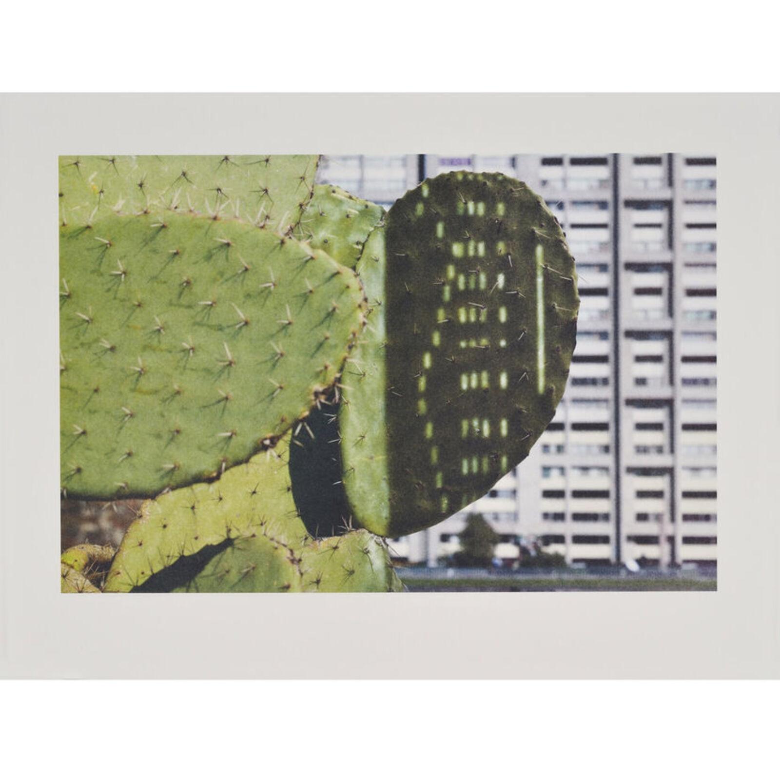 Artwork by Anri Sala, Cactus Score, Made of Litograph 