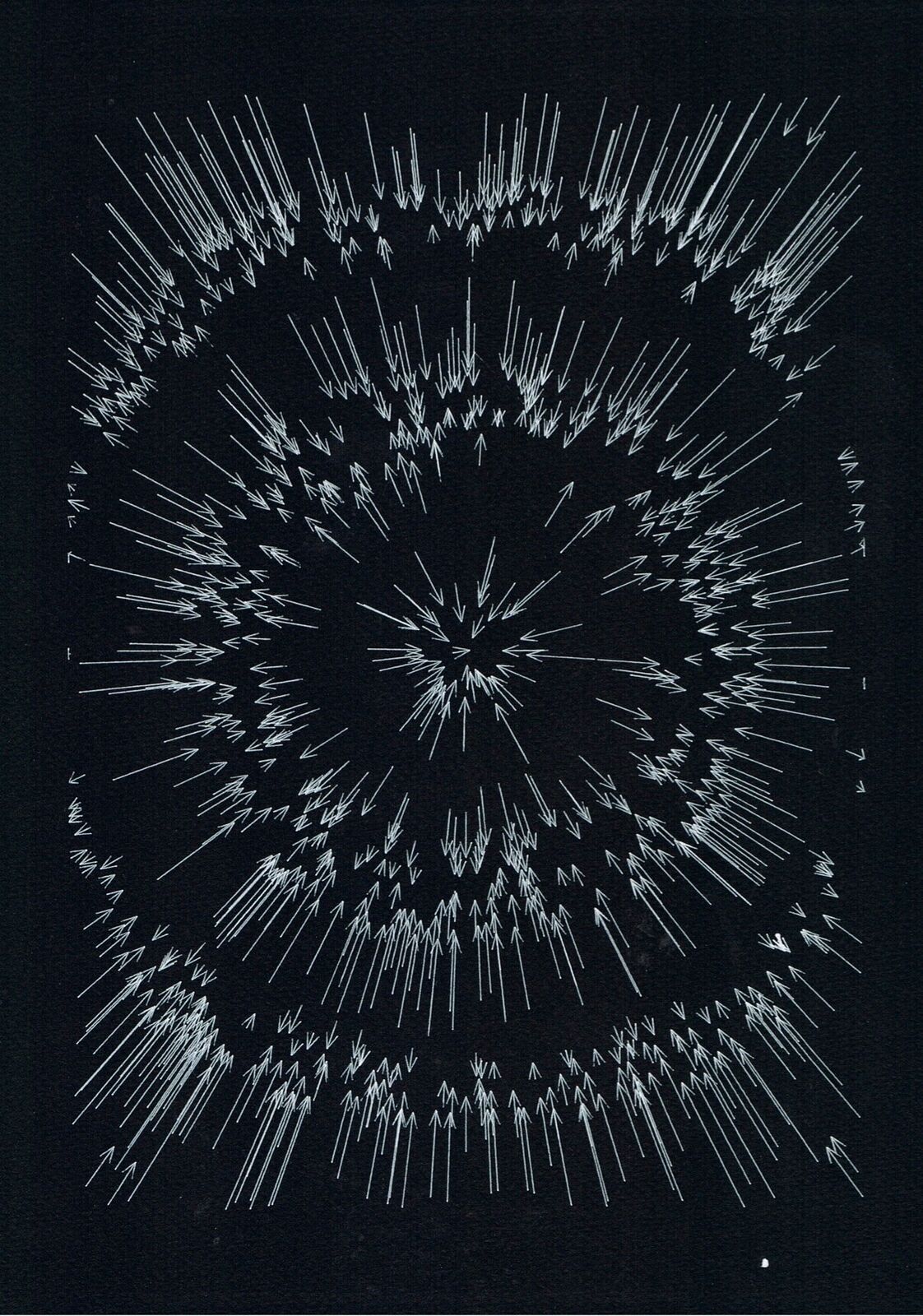 Vector Forces #3 by Antoine Schmitt, 2024