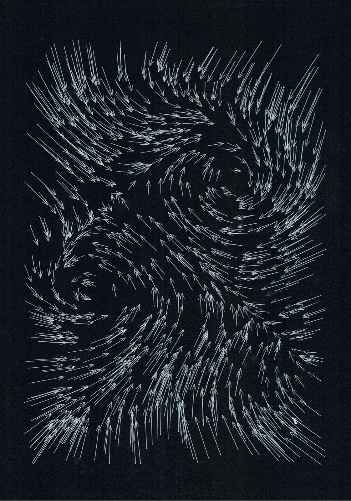 Vector Forces #6 by Antoine Schmitt, 2024