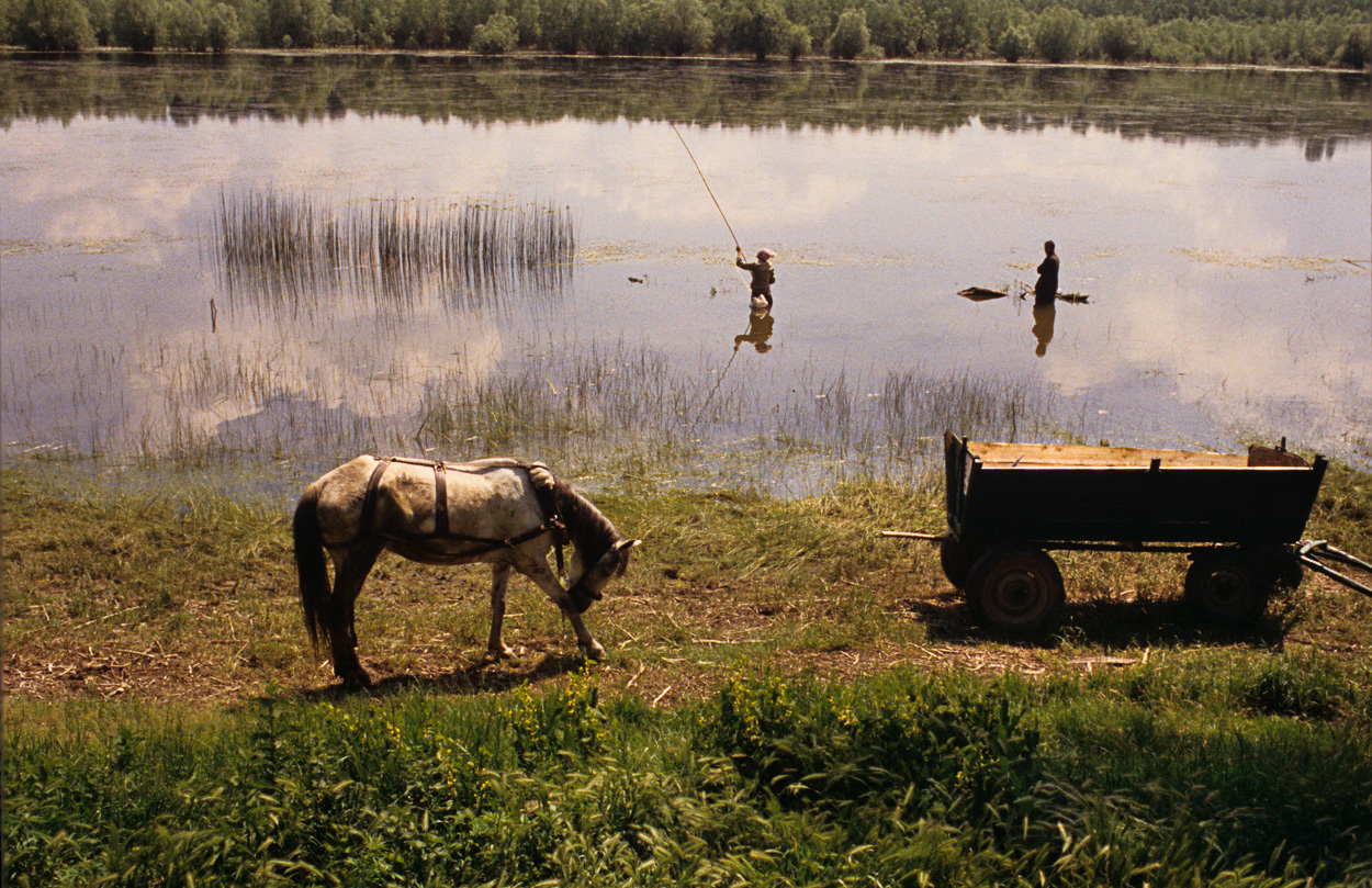 A horse standing next to a body of water with a man fishing.