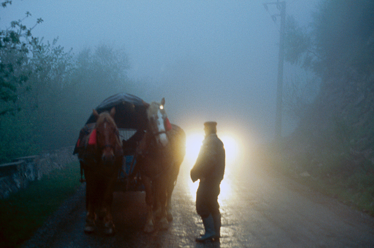 A man walking down a foggy road with two horses pulling a carriage.