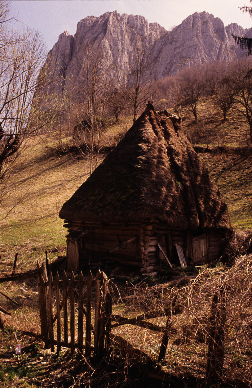 A small hut with a thatched roof in a field with mountains in the background.