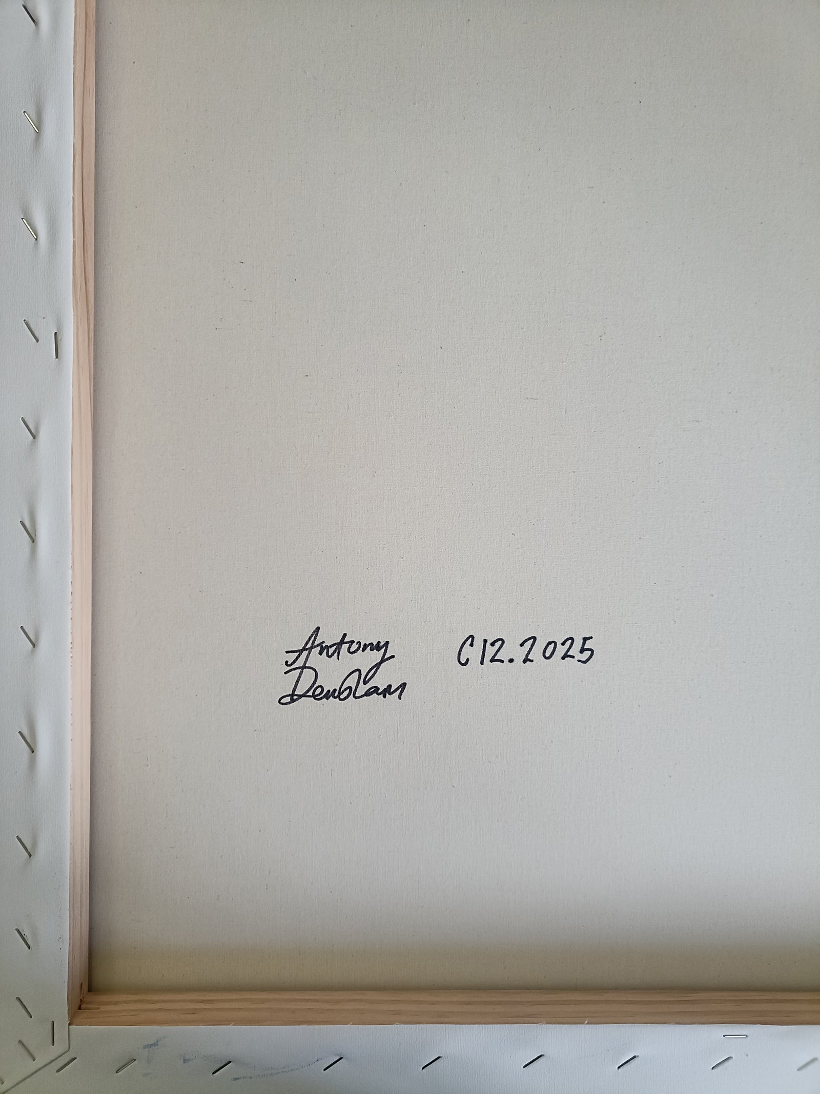 Artwork by Antony Densham, C12.2025, Made of Acrylic on canvas 