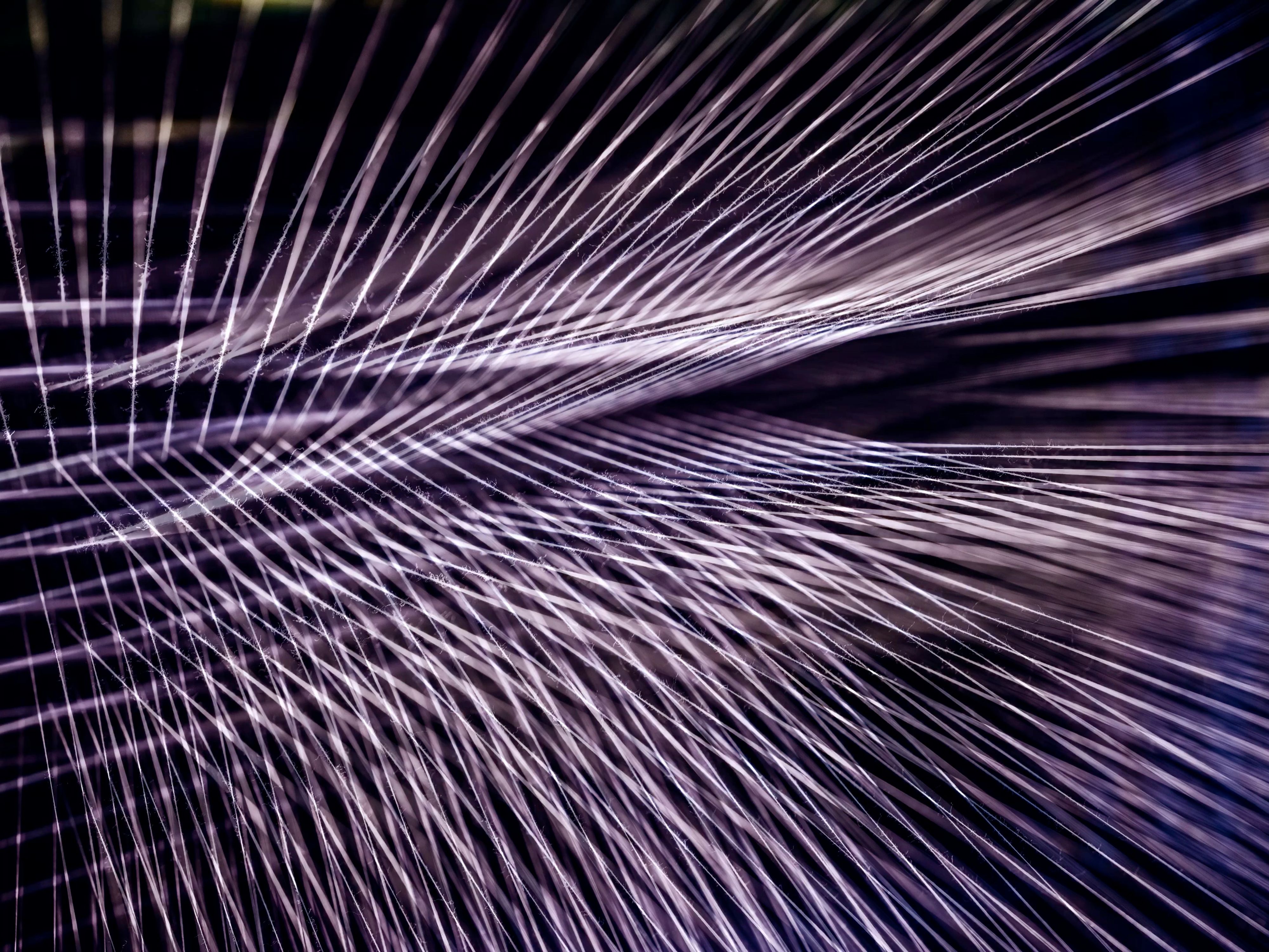 Purple Overthoughts
