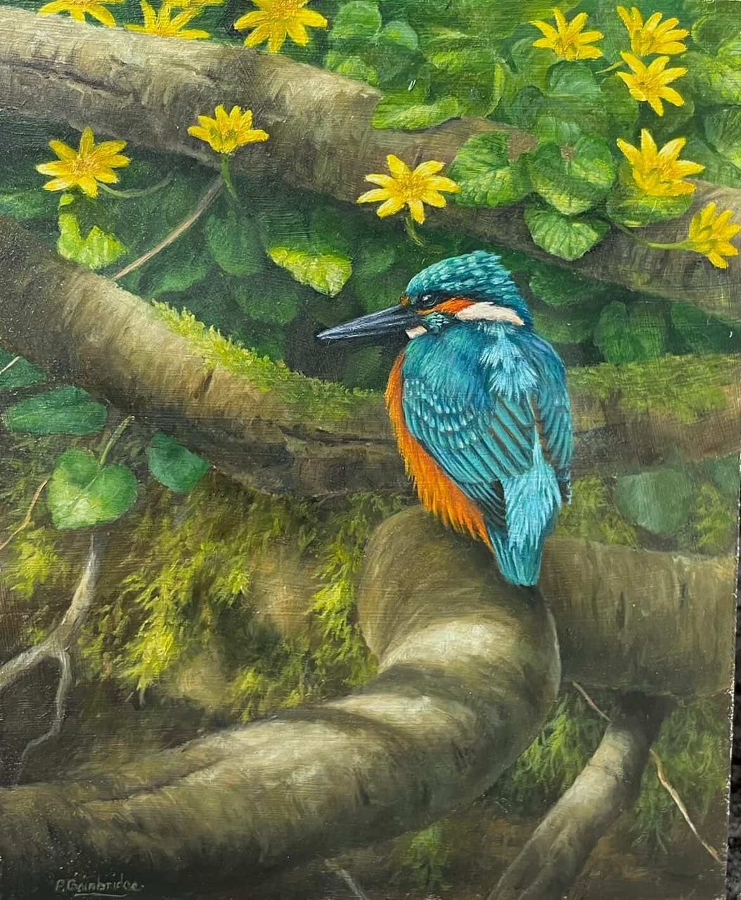 Kingfisher by Peter Bainbridge, 2026