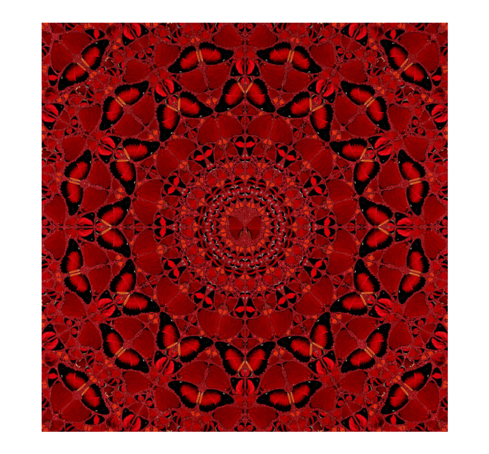 A kaleidoscopic mandala of red and black butterflies spiraling inward.