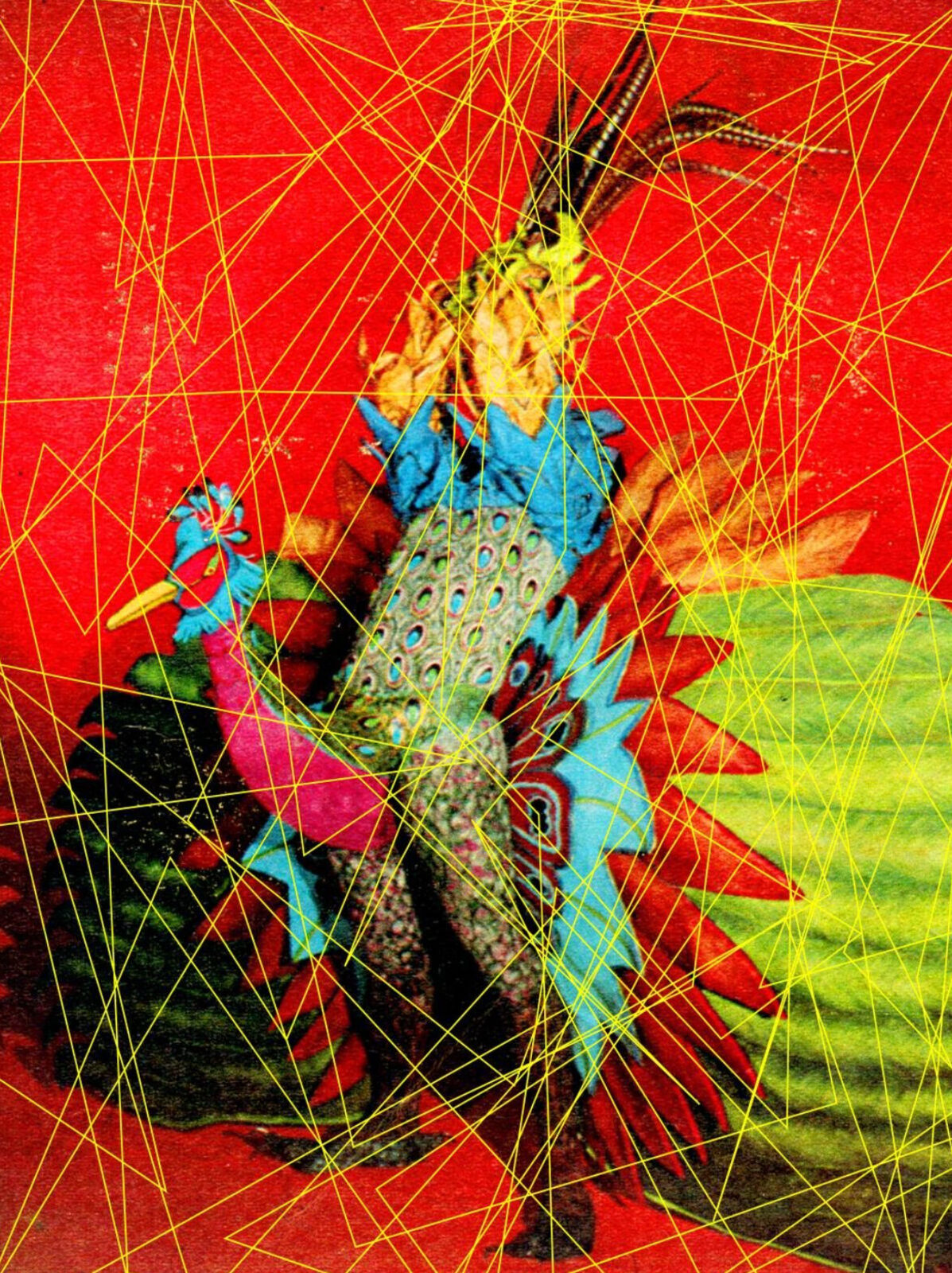 A painting of a colorful bird on a red background.