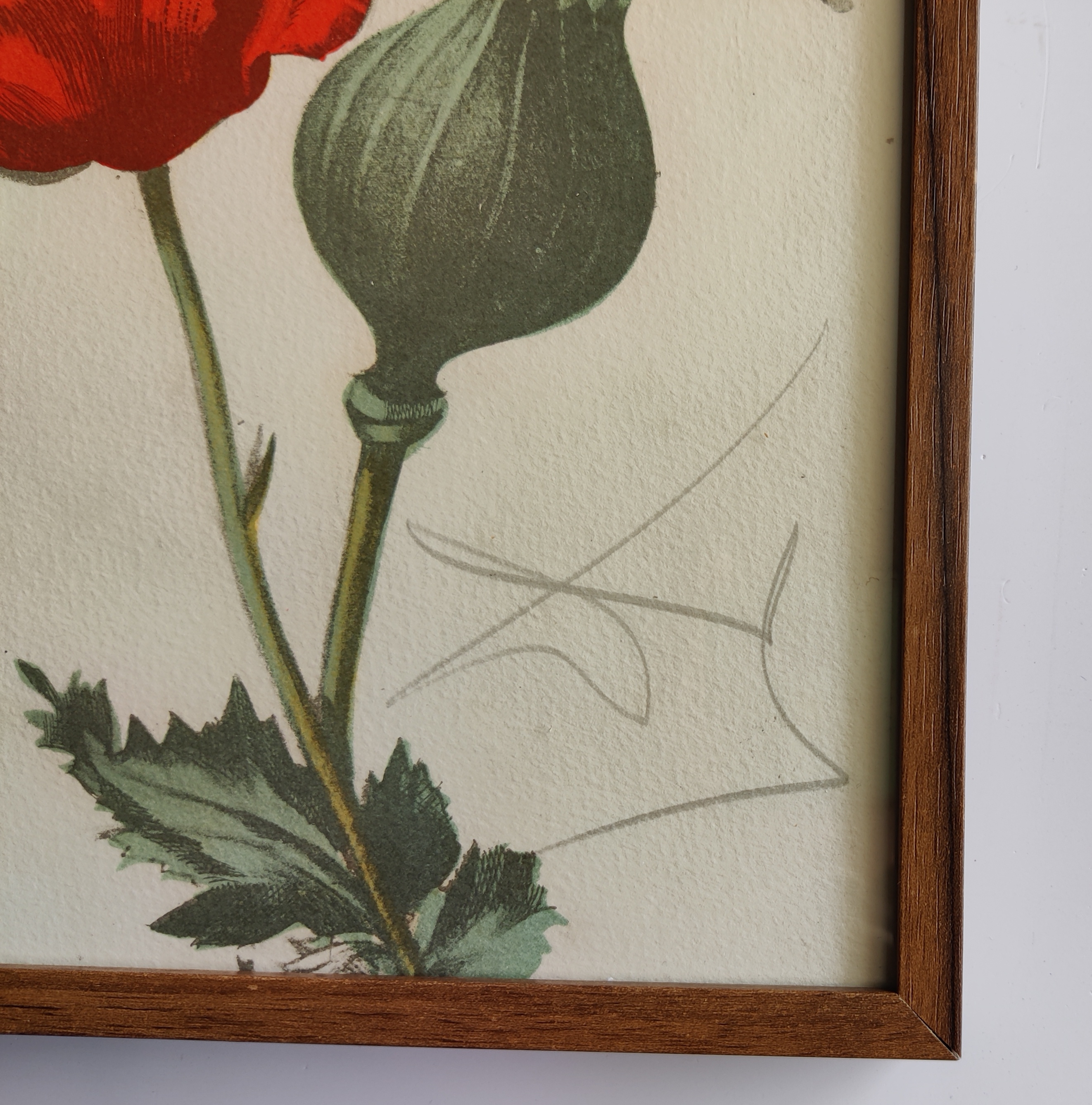 A painting of a skull with flowers and butterflies.