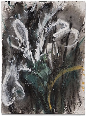 A painting of a white flower on a black and white background.