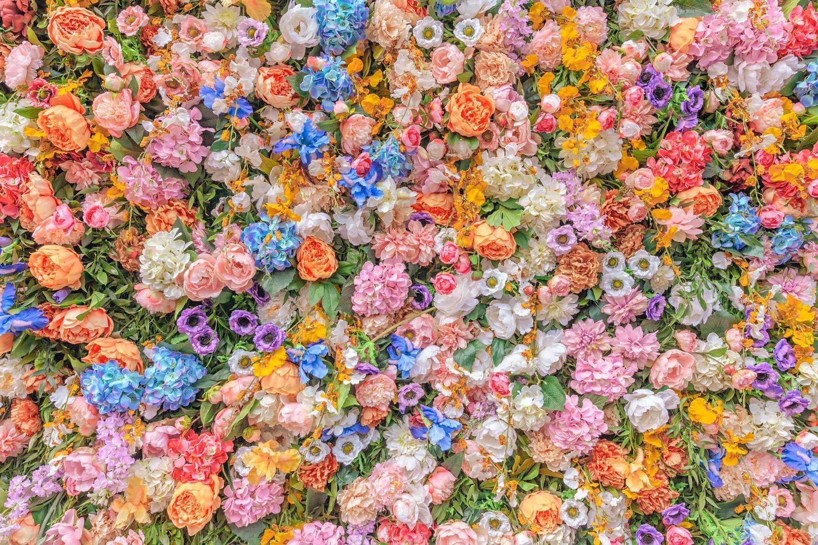 A large group of colorful flowers on a wall.