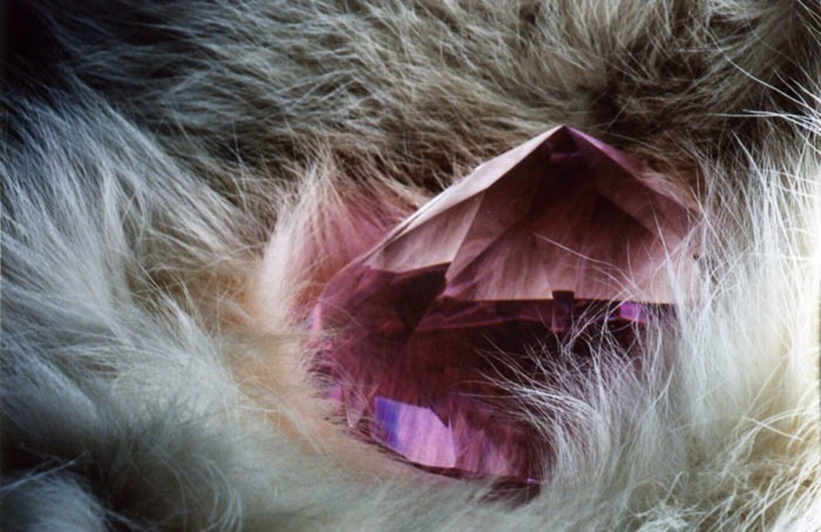 Pink Glass (Oracle) by Ben Weiner, 2006-2007