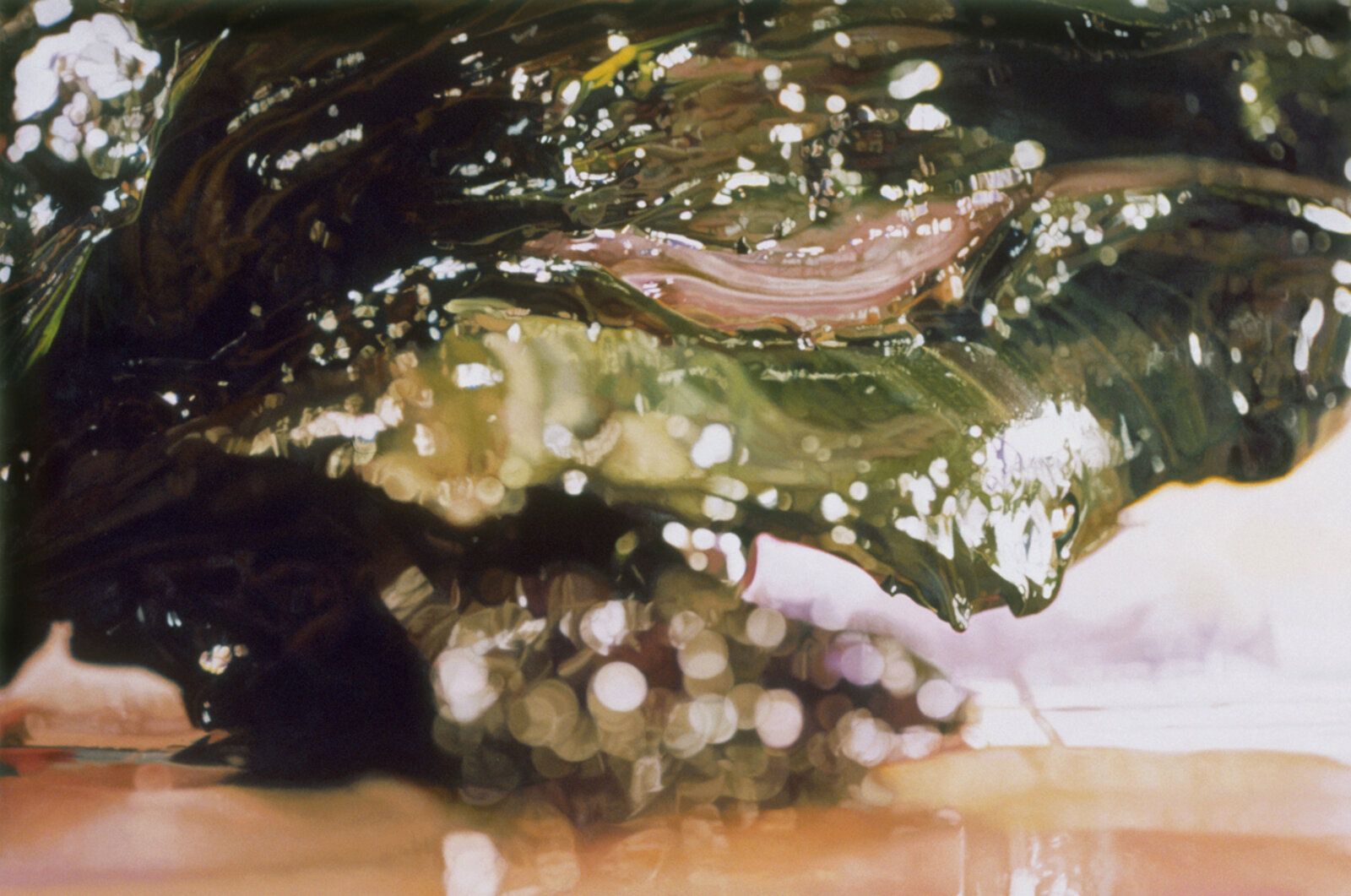 What Came First by Ben Weiner, 2007