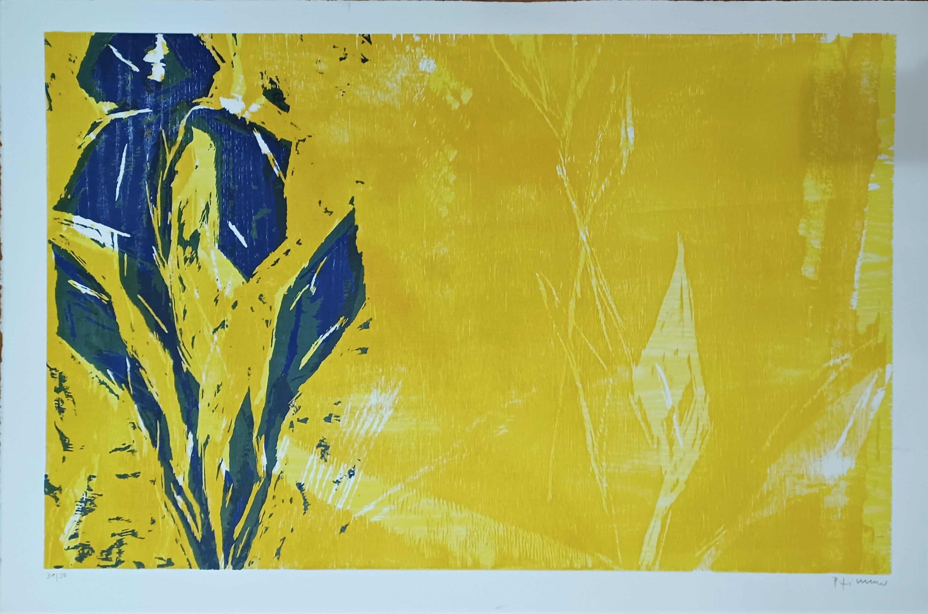 Iris by Bernd Zimmer, circa 1995