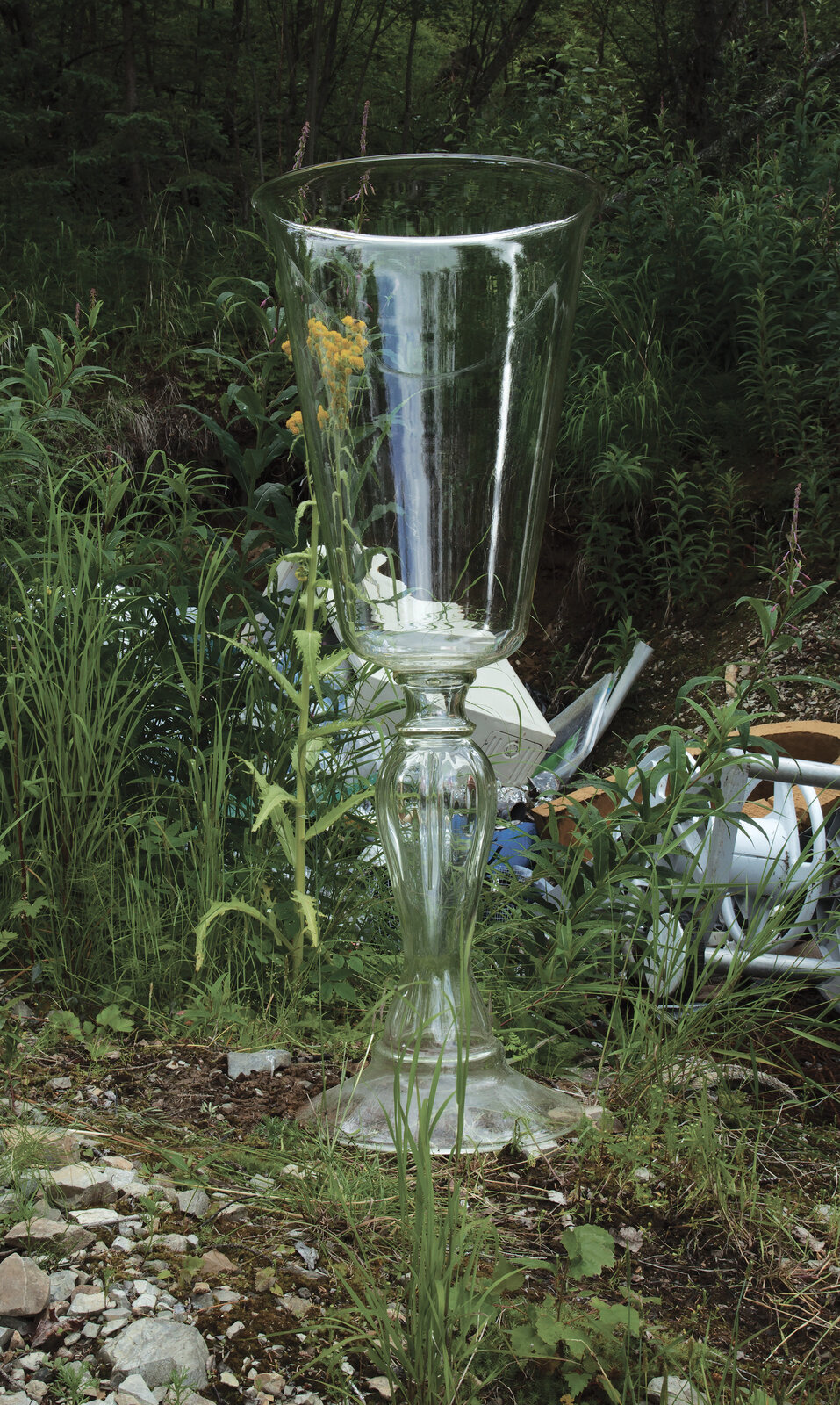 Chalice with Detritus, Lake Clark, AK