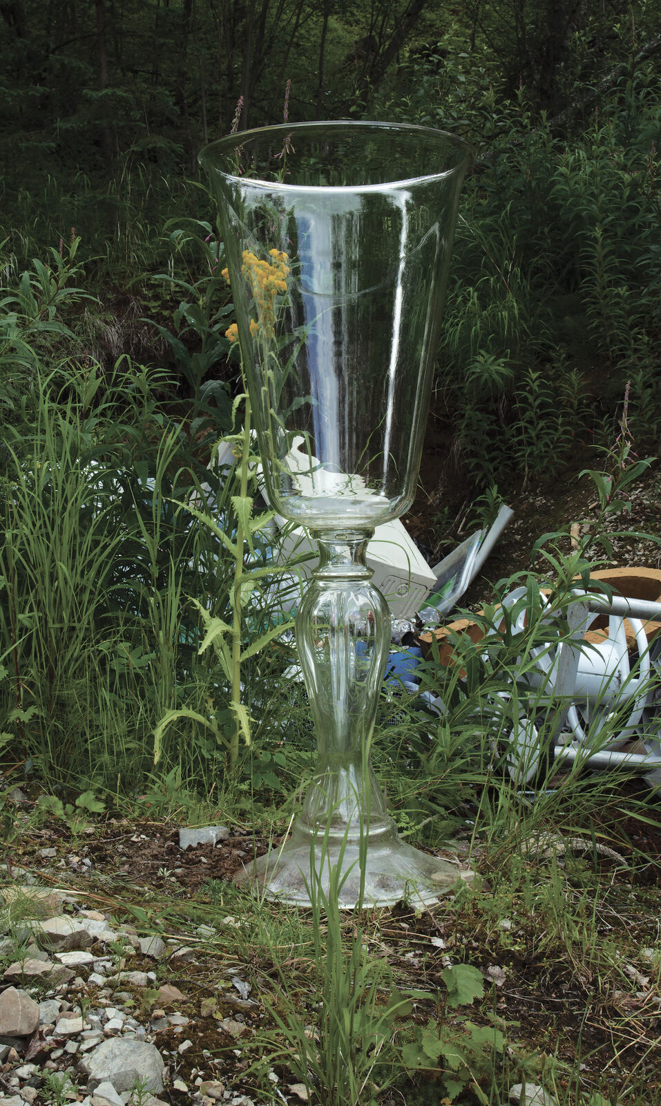 A discarded glass goblet stands amidst overgrown weeds and scattered debris in a forest clearing.