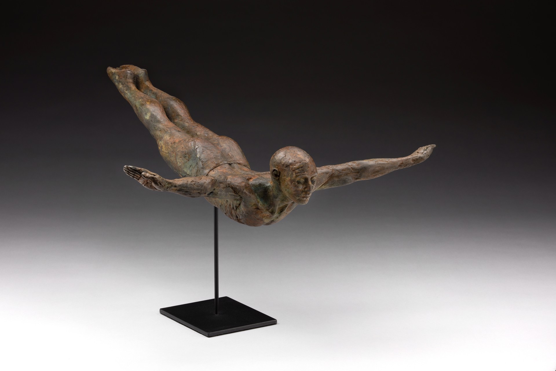 In My Dreams I Can Fly