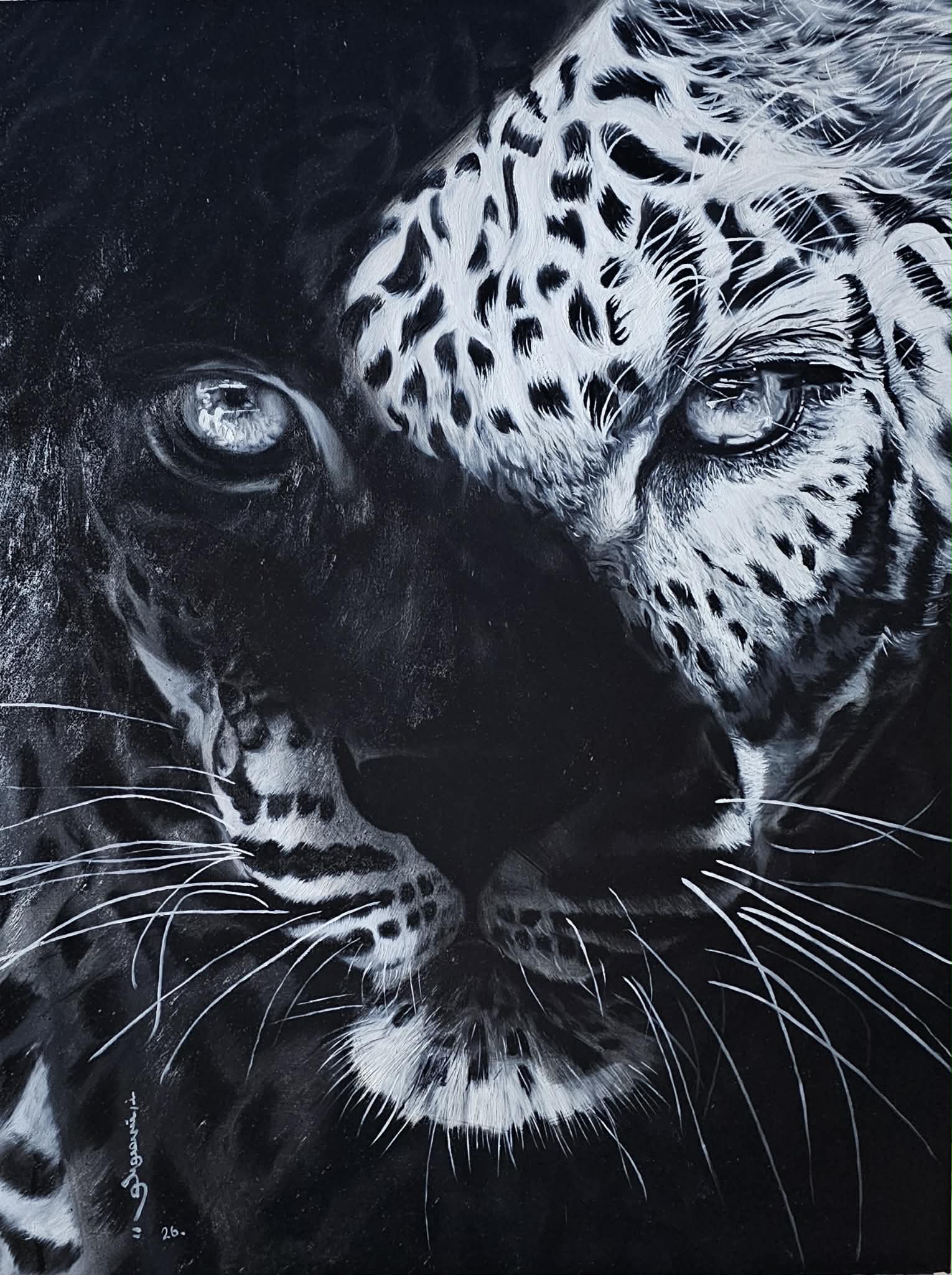 A striking black-and-white portrait of two leopards merging into a single face.