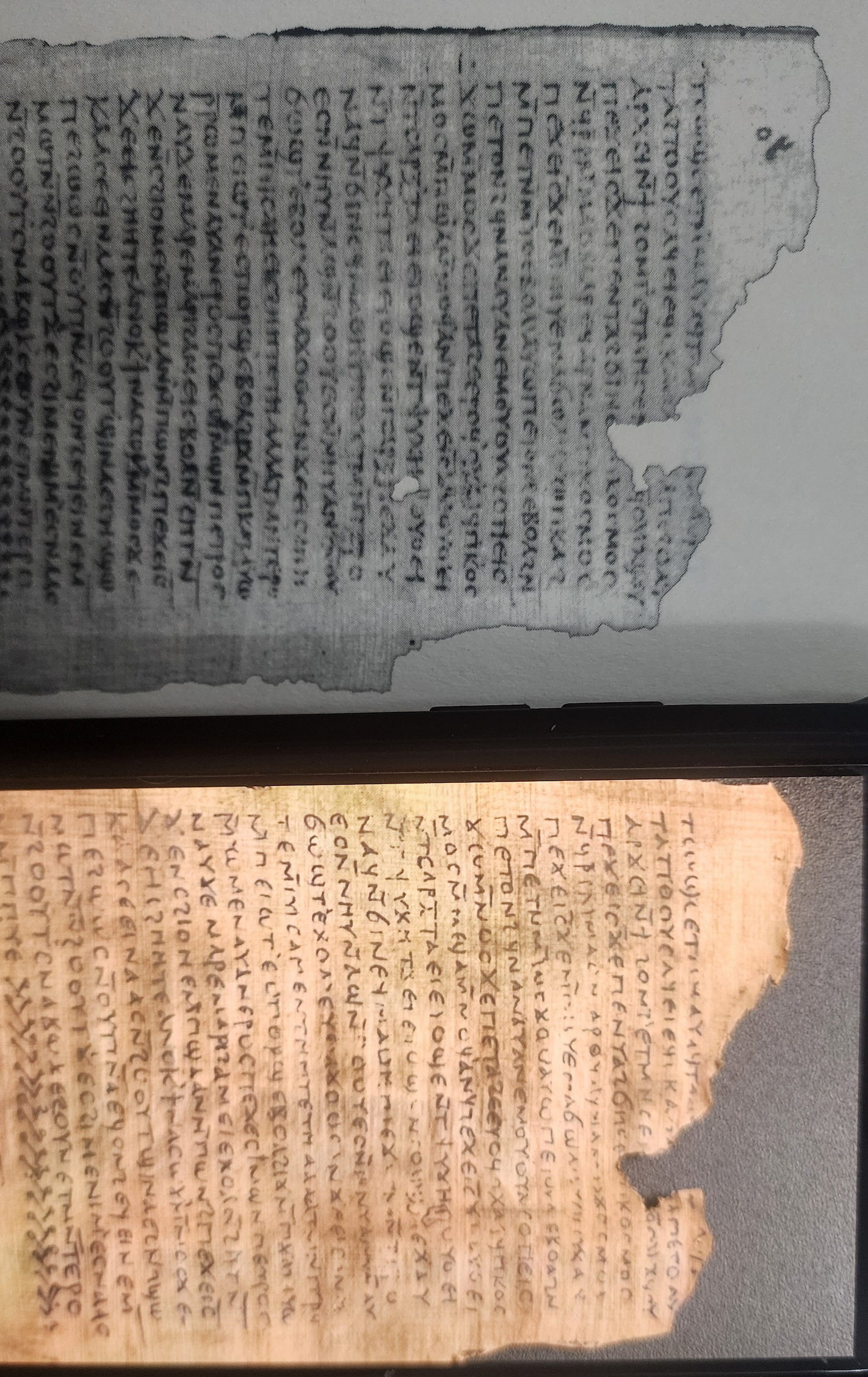 A framed display of two ancient-looking parchment scrolls filled with dense text.