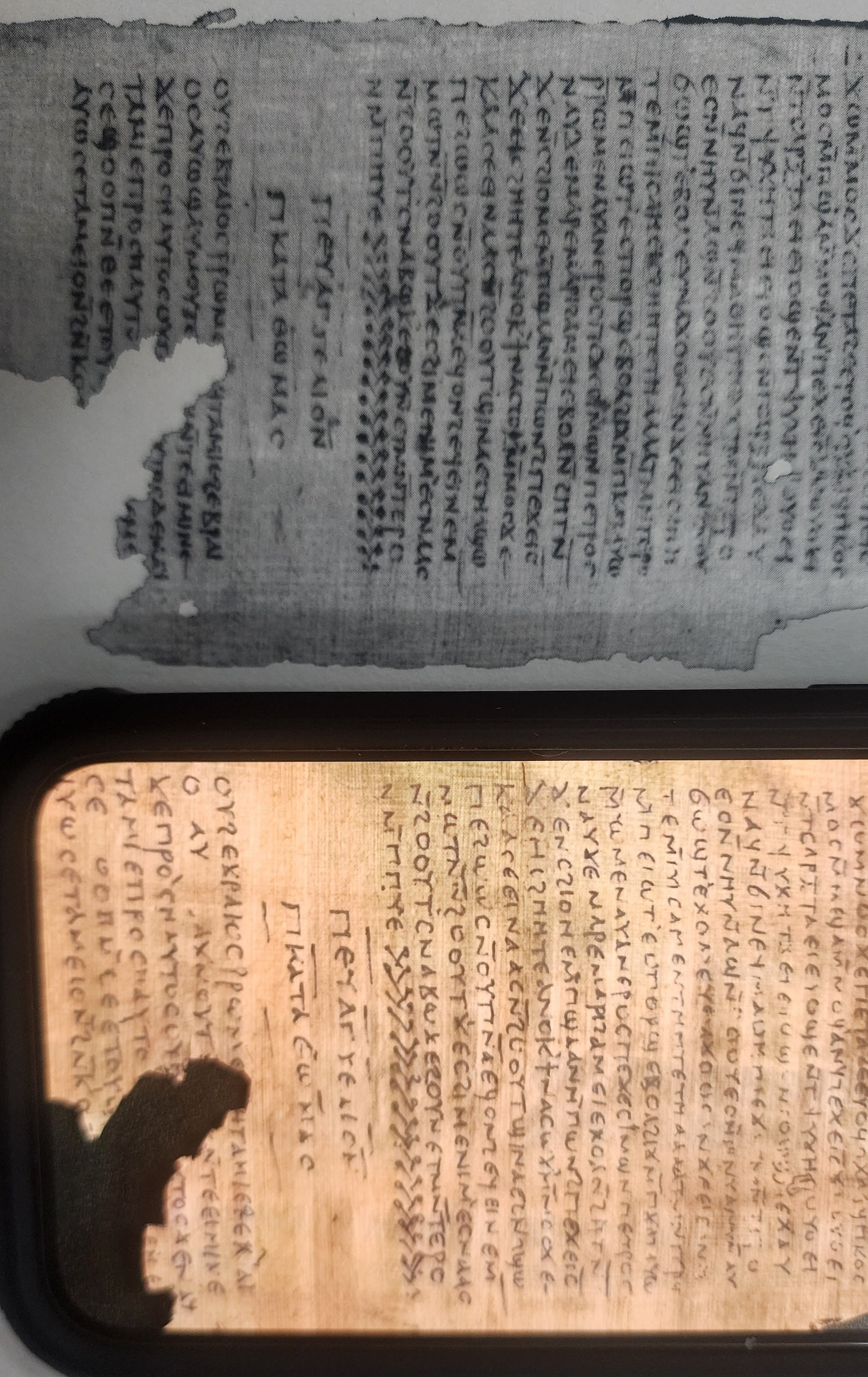 A framed display of two ancient-looking parchment scrolls filled with dense text.